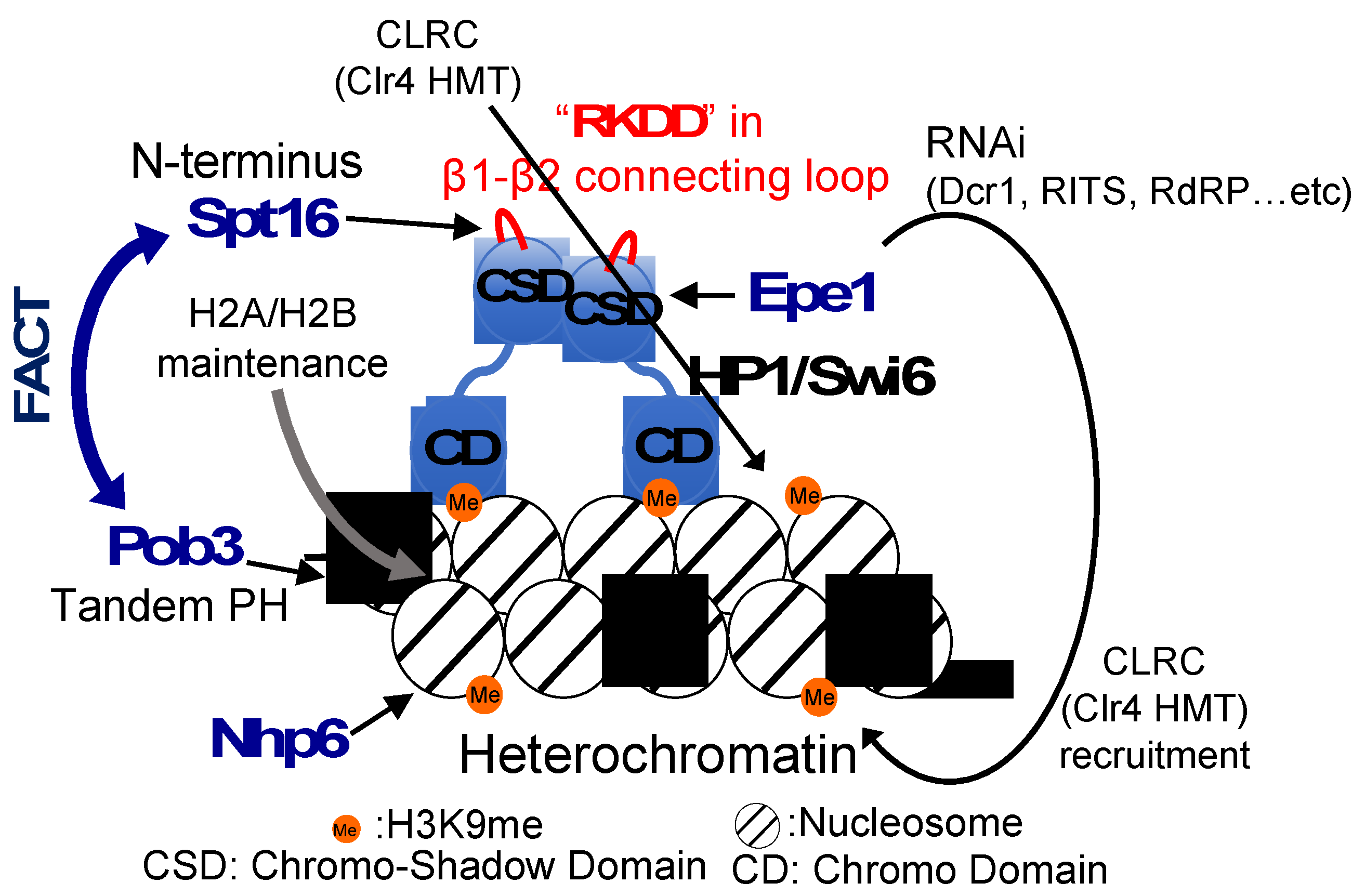Preprints 67771 g005