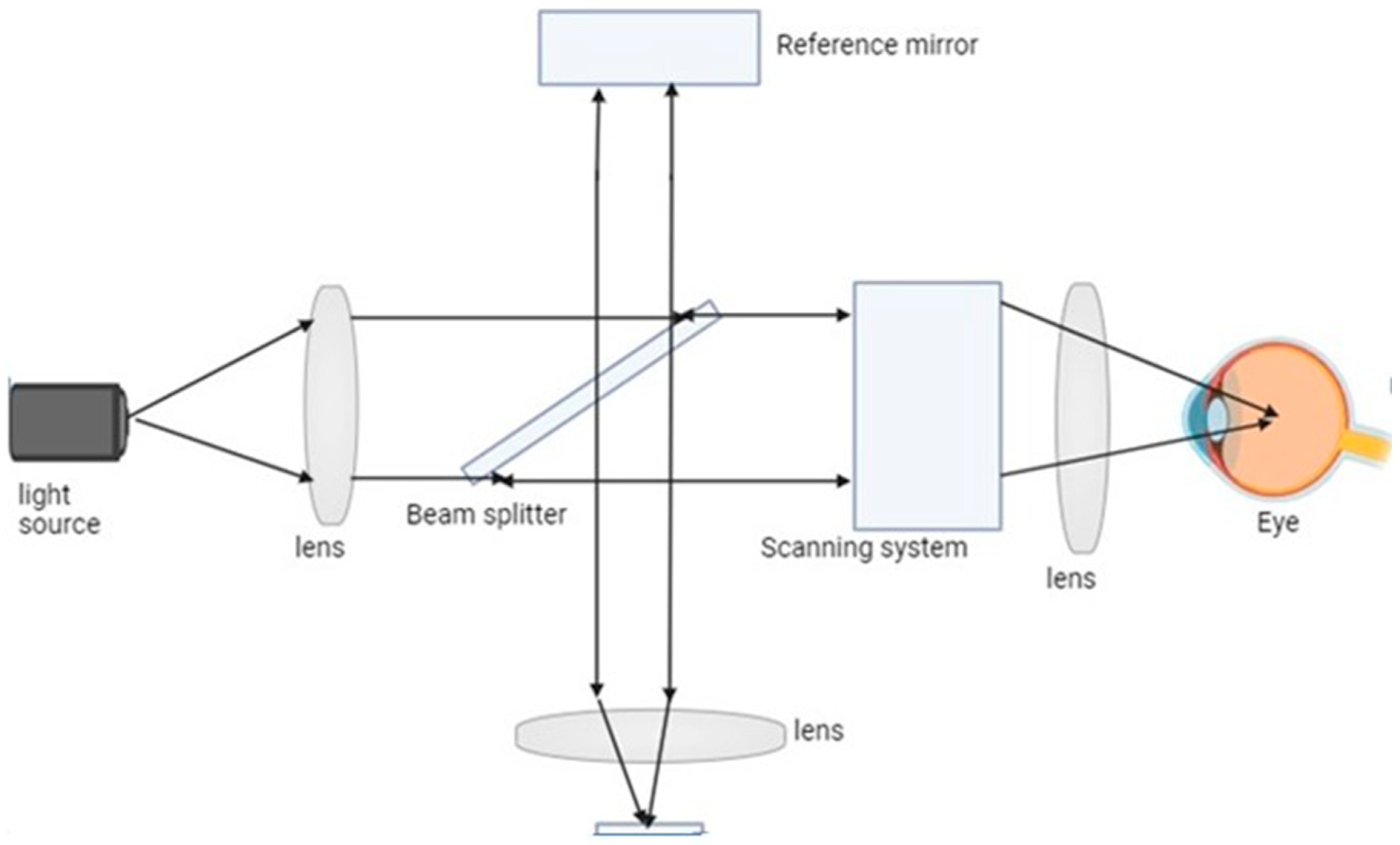 Preprints 141547 g002