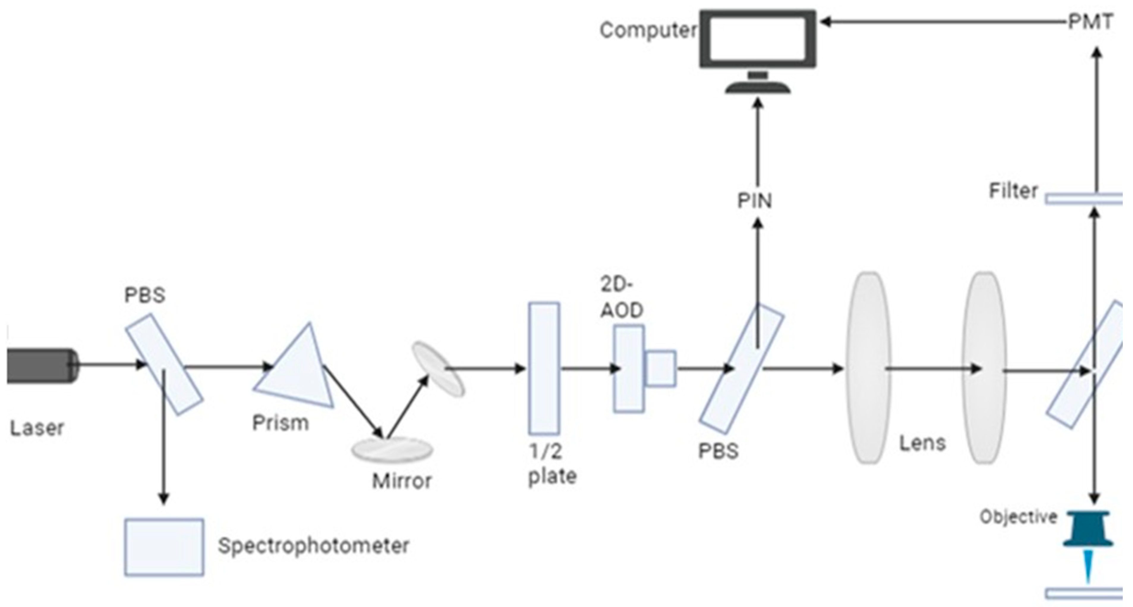 Preprints 141547 g004
