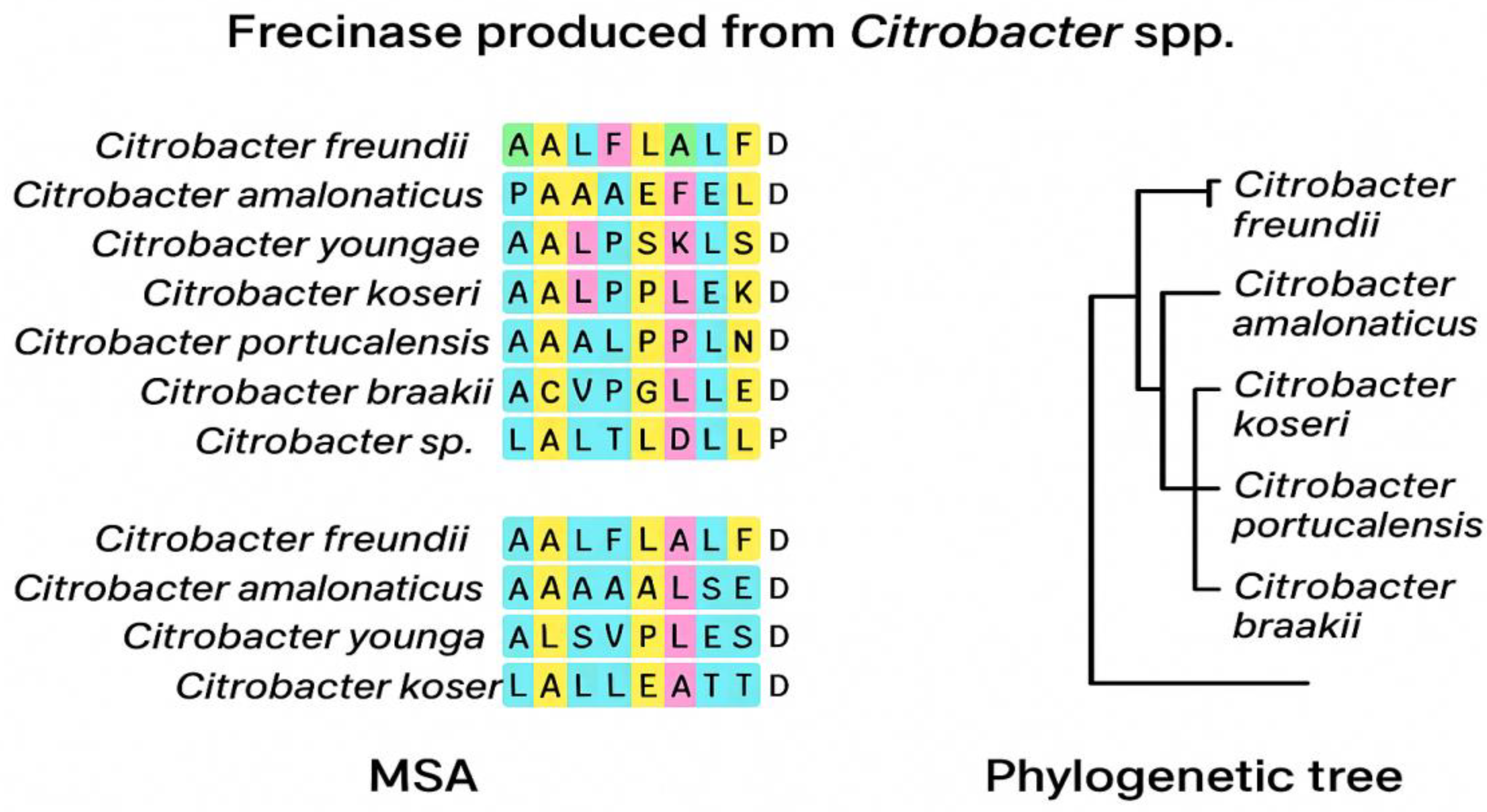 Preprints 186422 g002