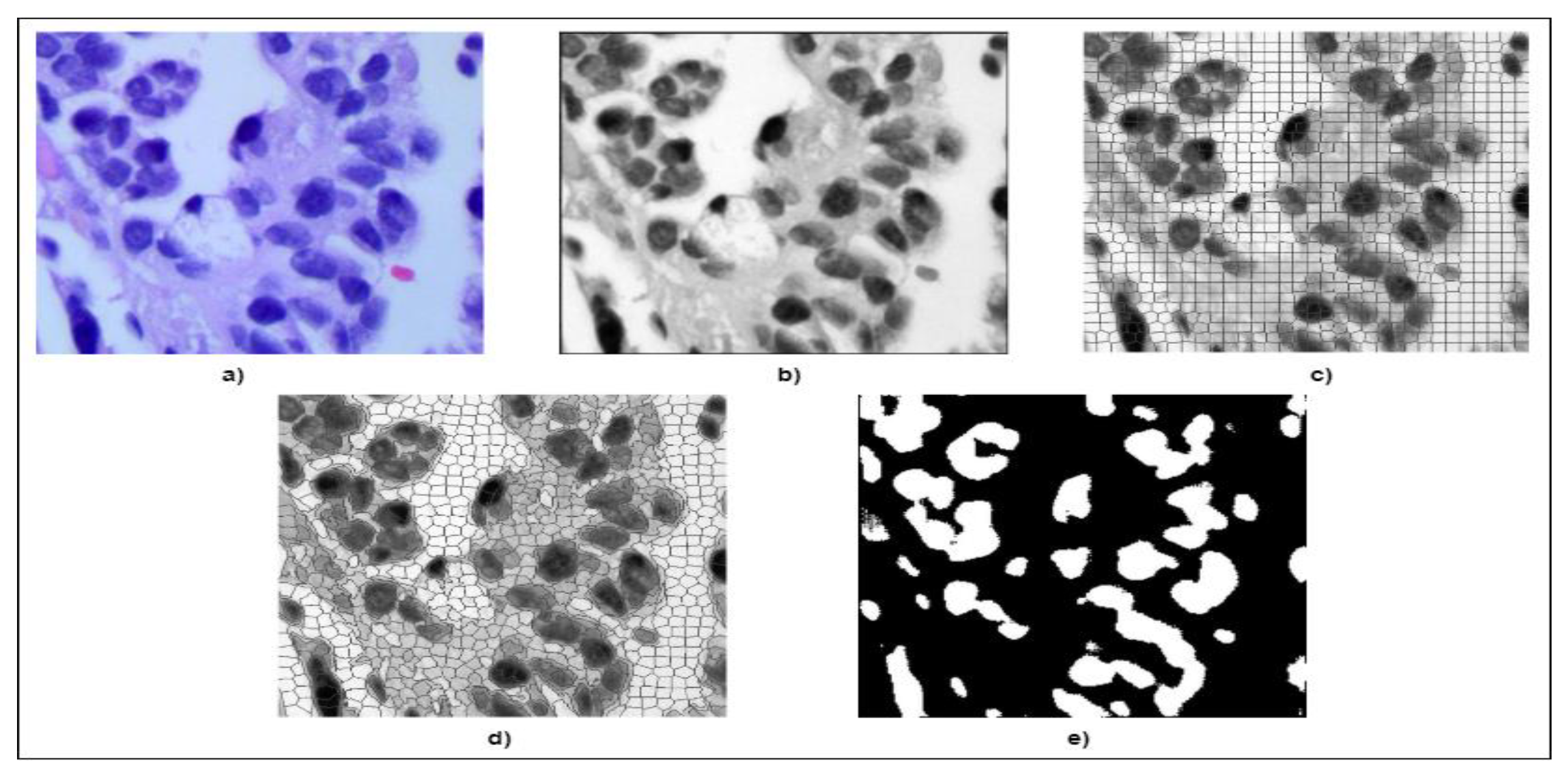 Preprints 148698 g002