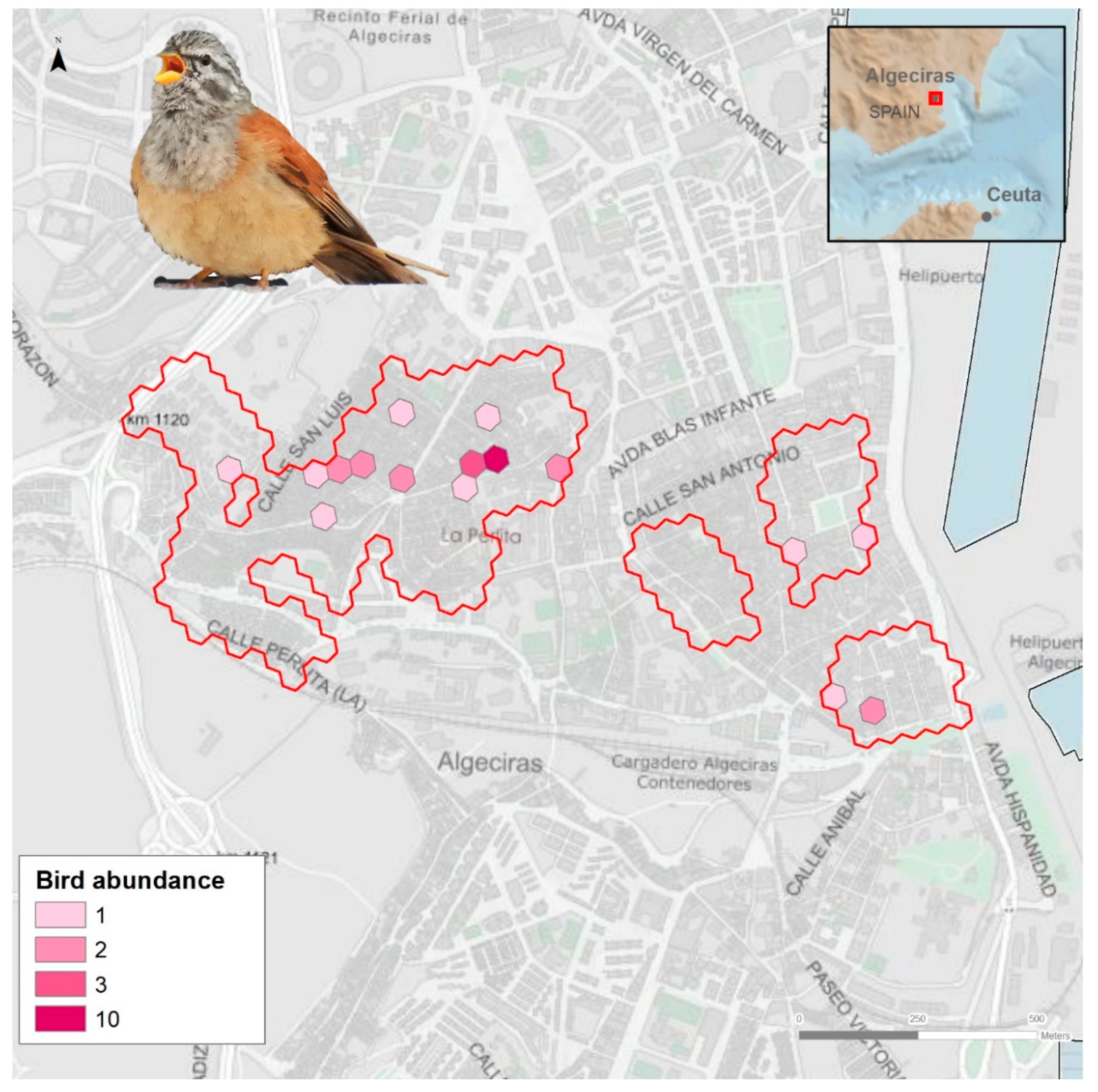 Preprints 151552 g003
