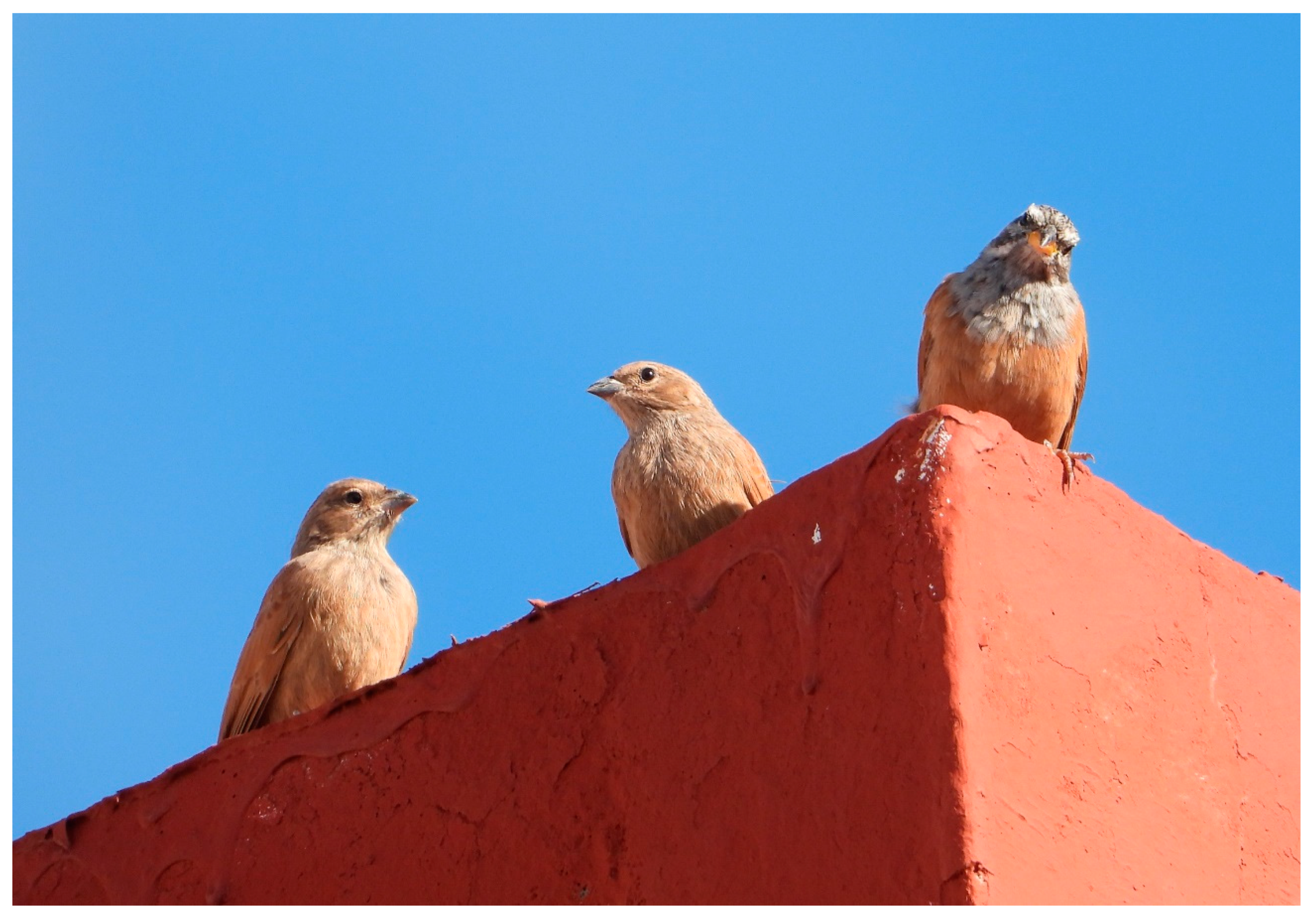 Preprints 151552 g004