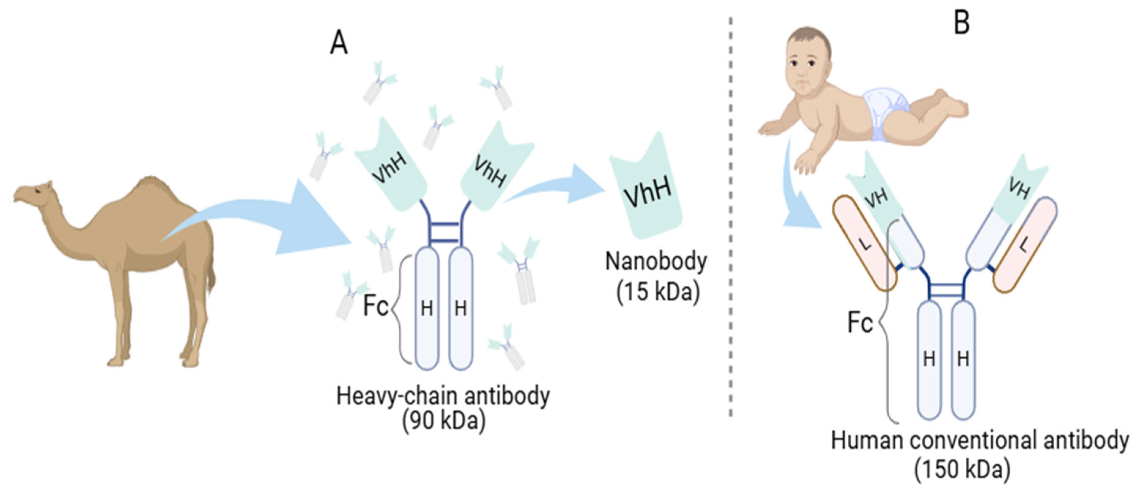 Preprints 158900 g001