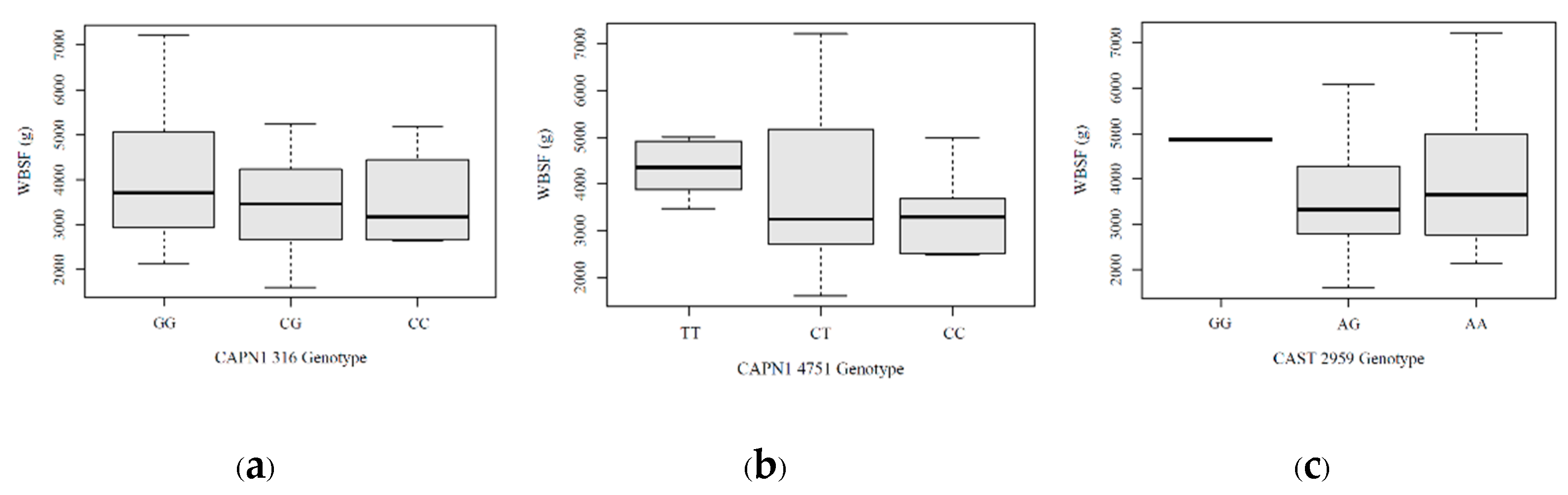 Preprints 189116 g007