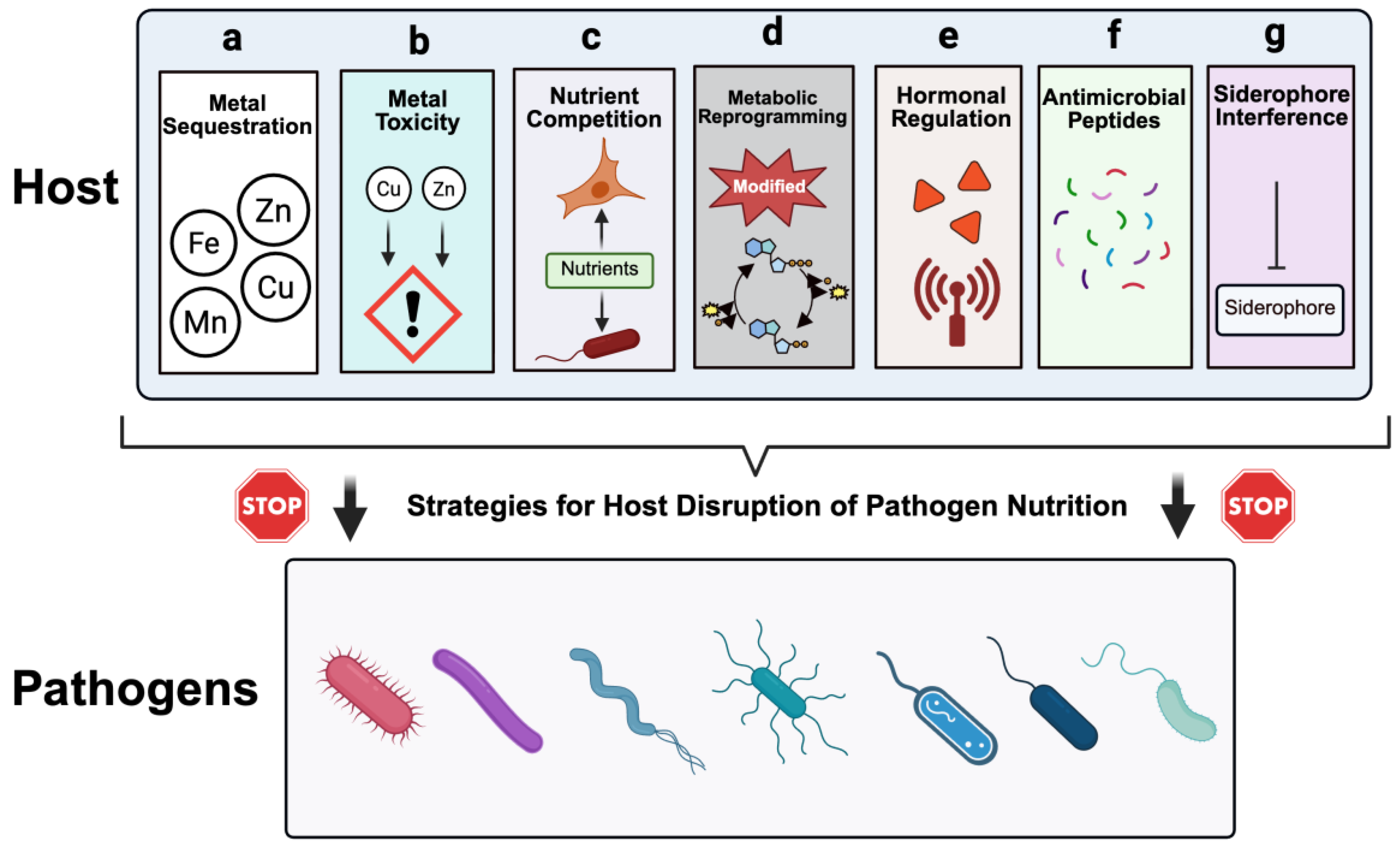 Preprints 187048 g001