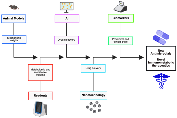 Preprints 187048 i001