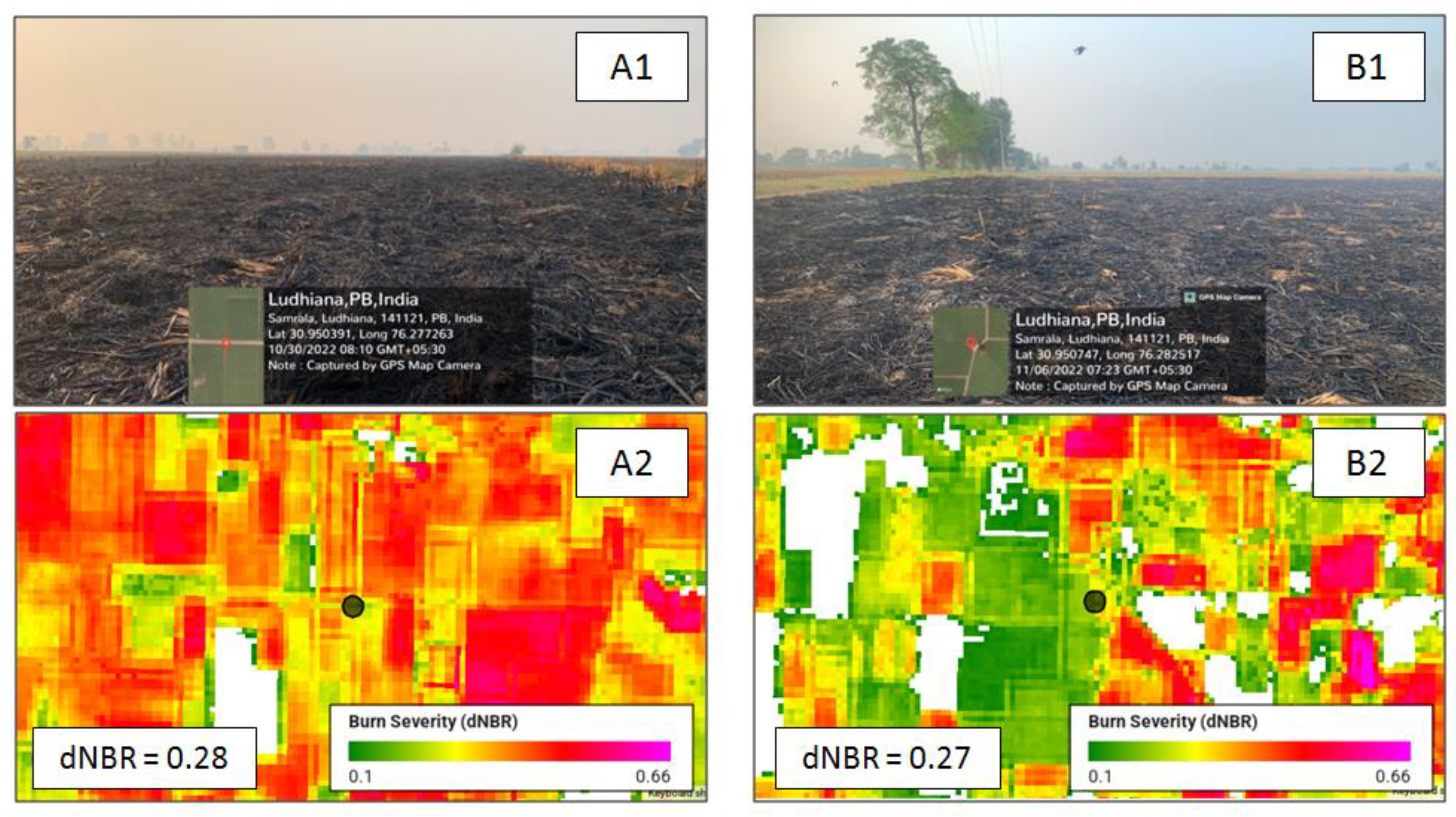 Preprints 167471 g006