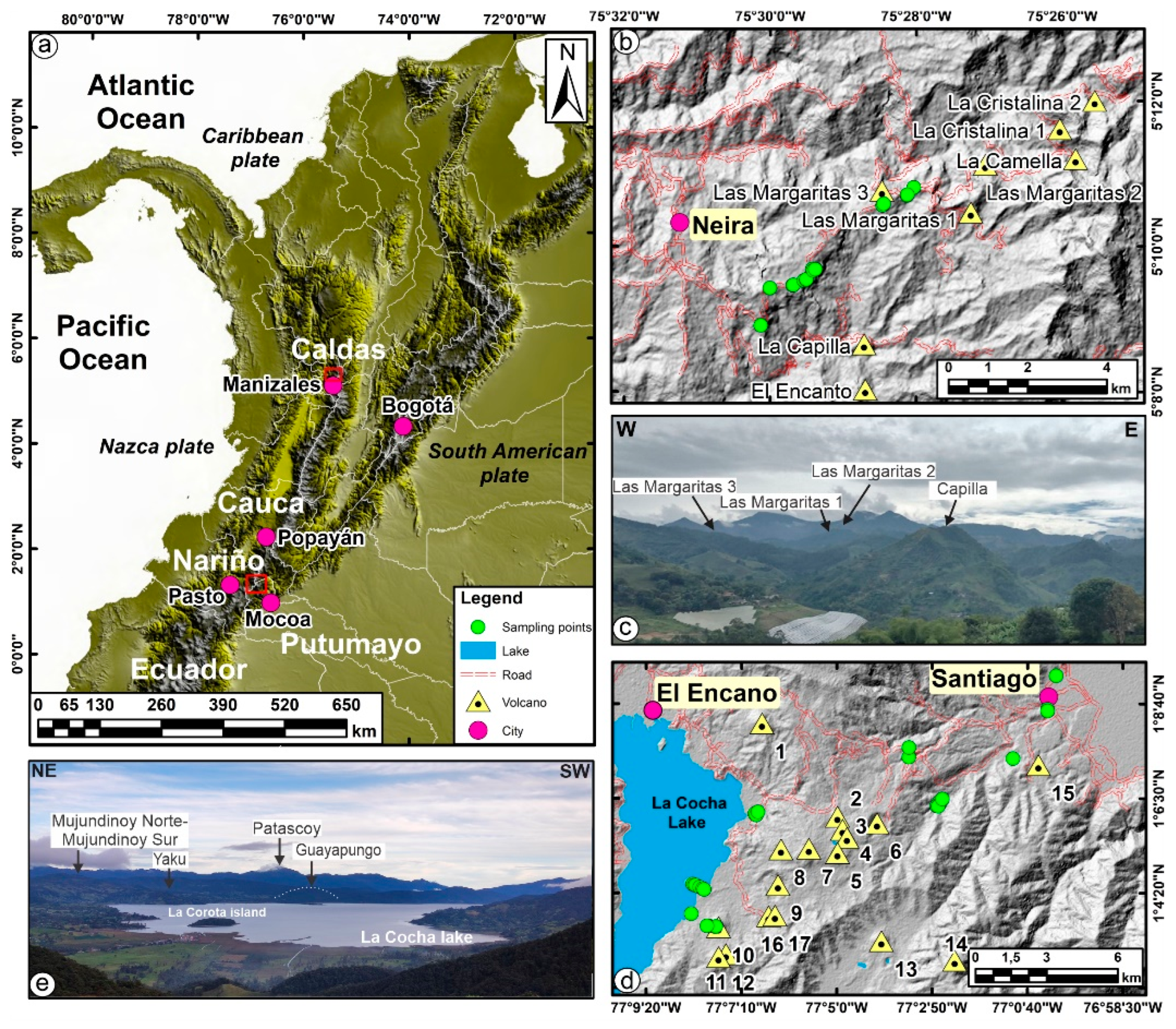 Preprints 150692 g001