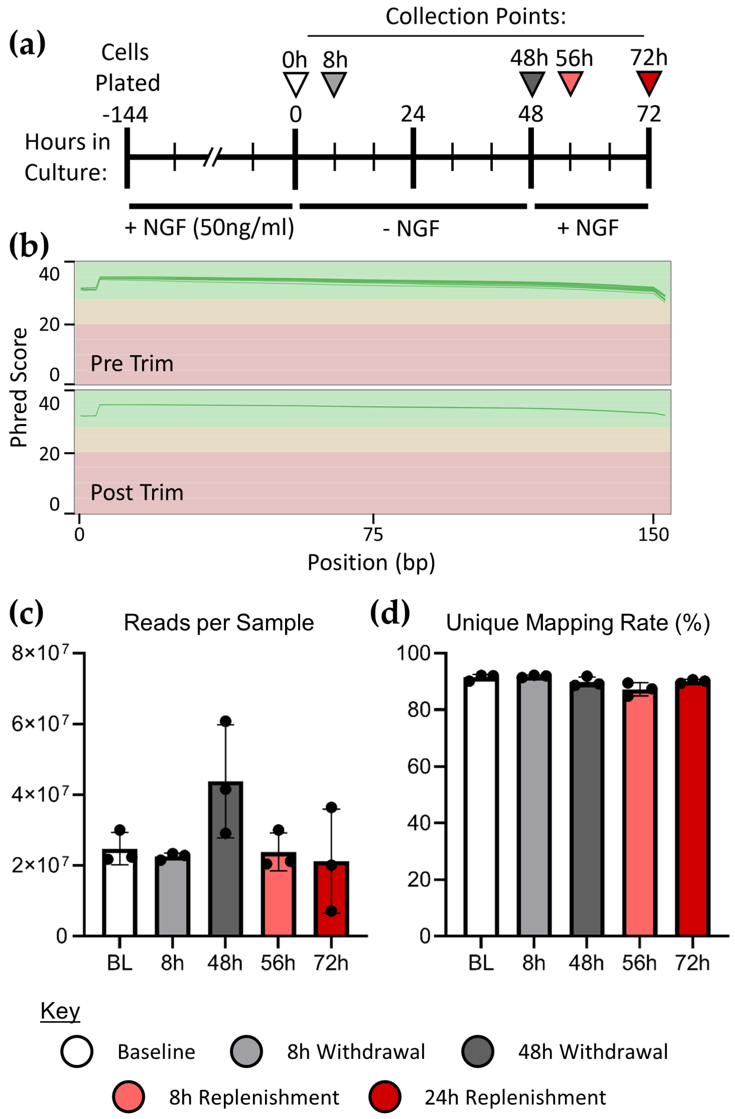 Preprints 165303 g001