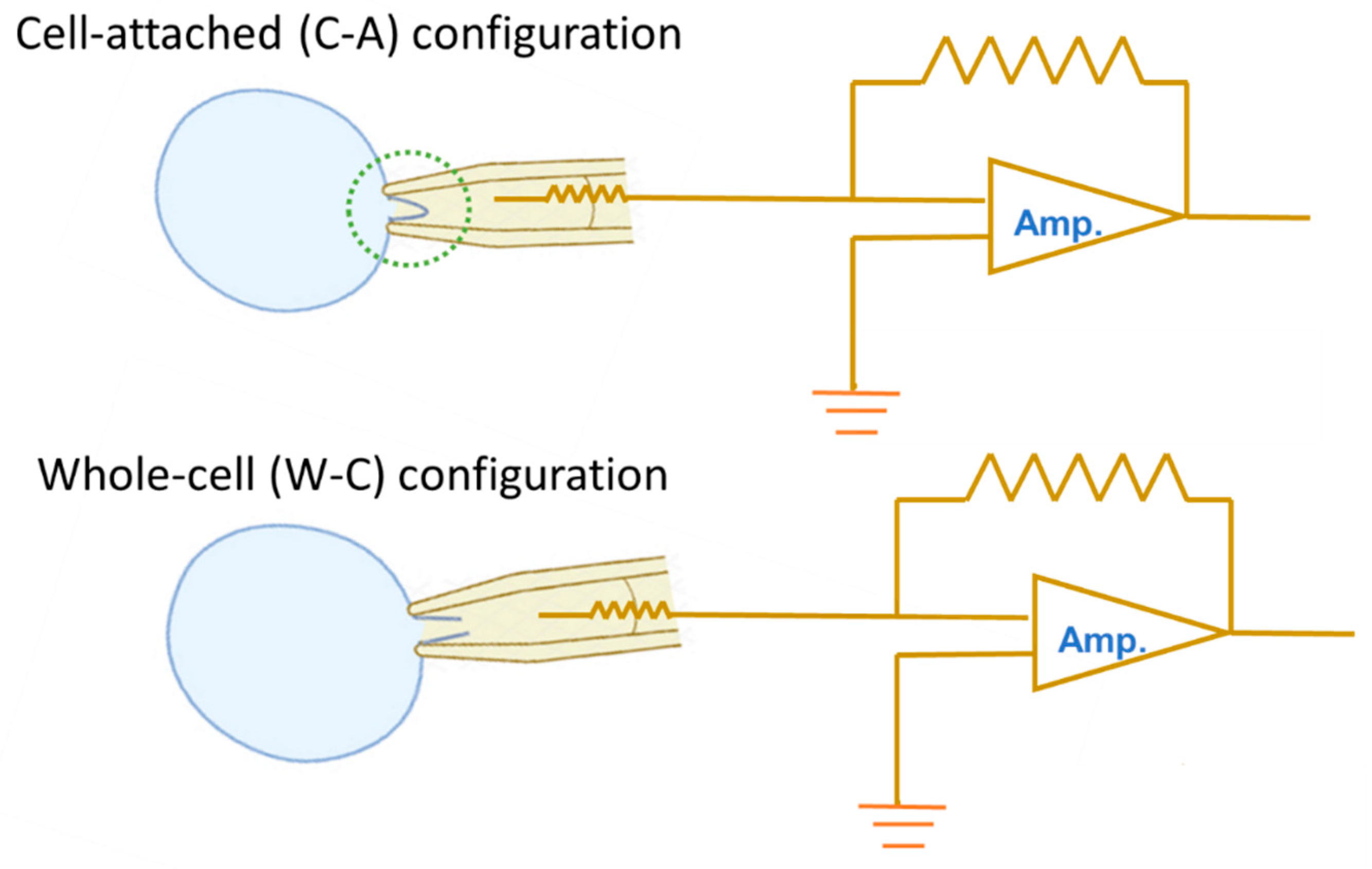 Preprints 191580 g001