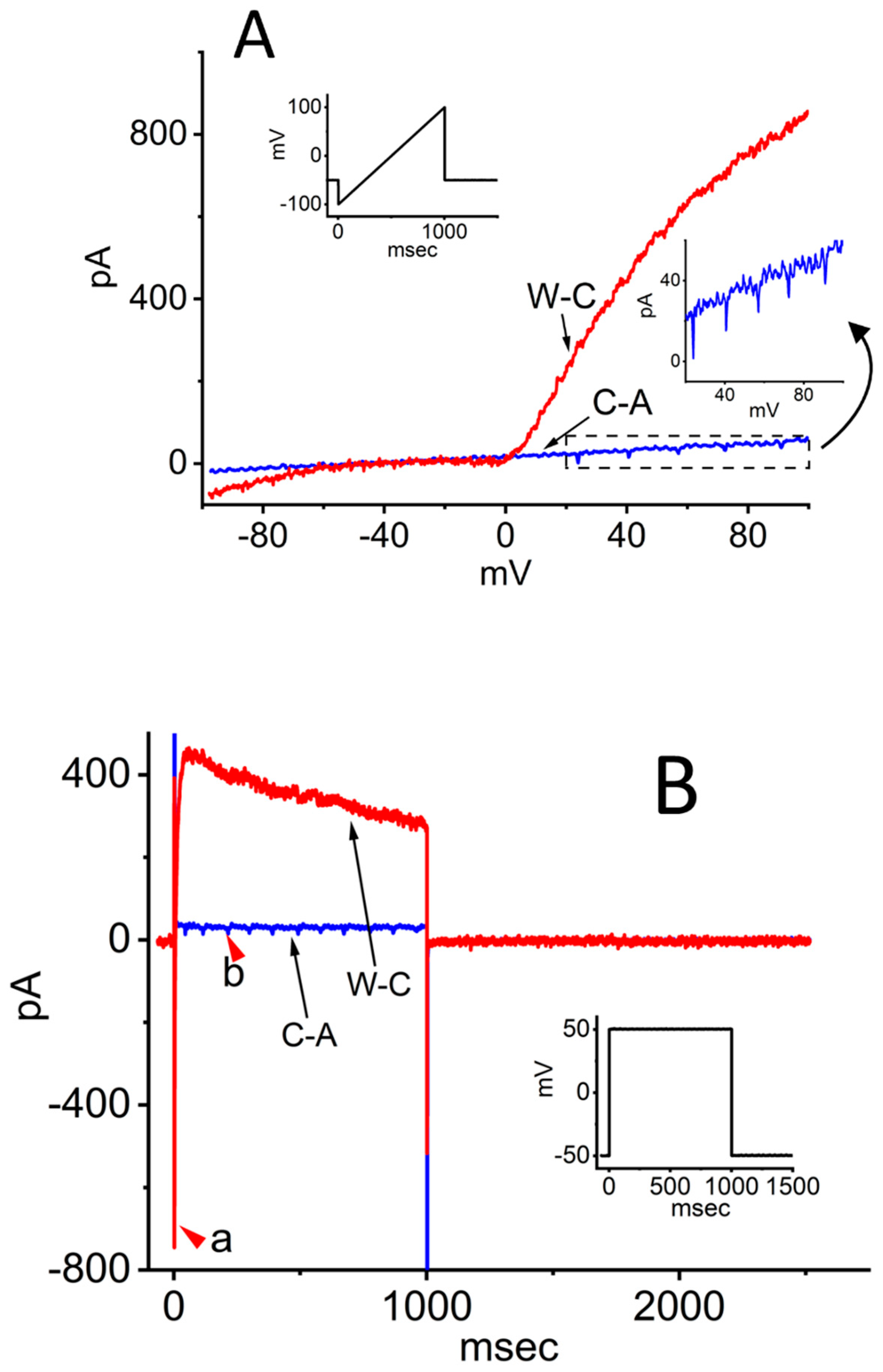 Preprints 191580 g002