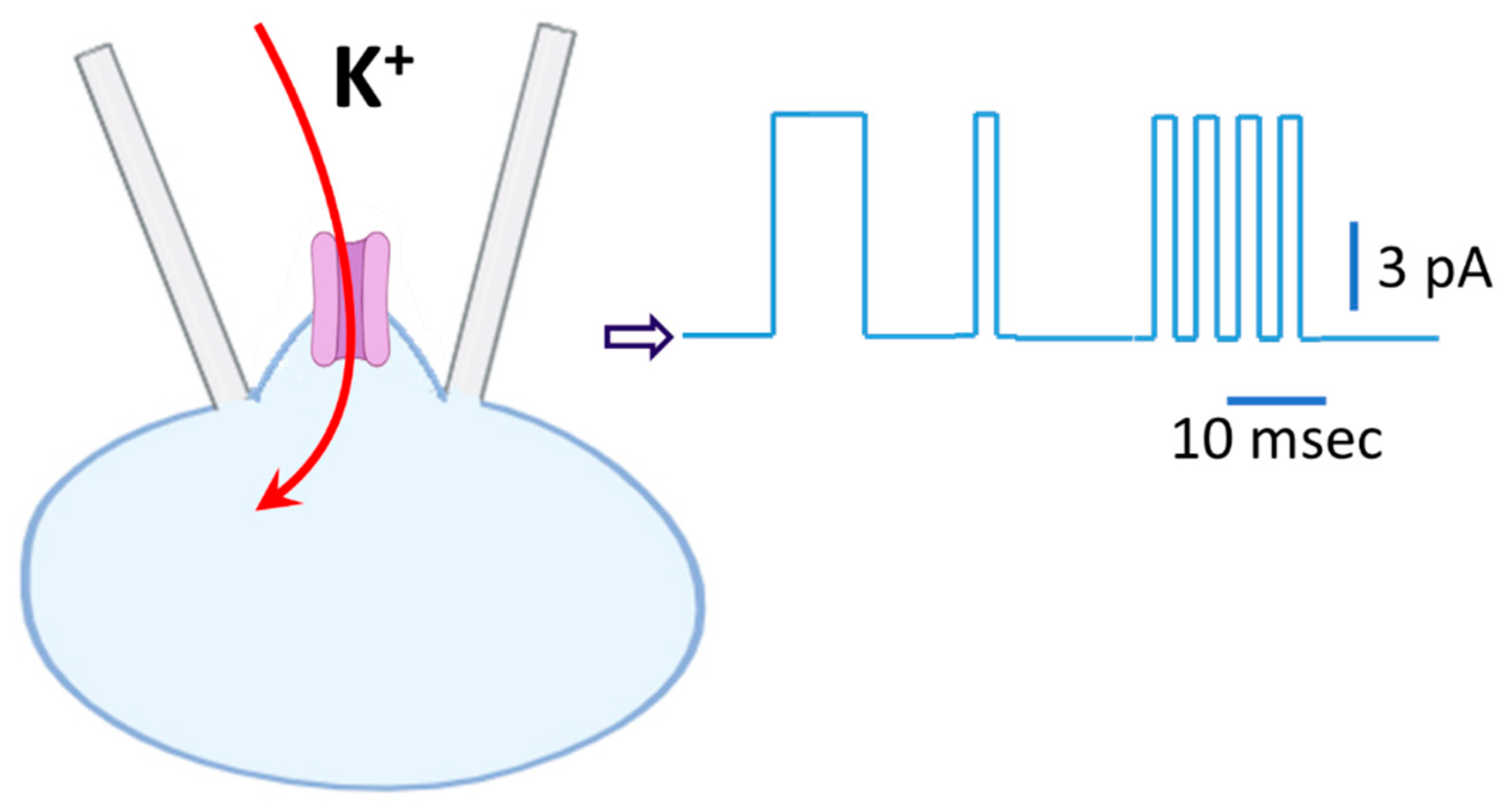 Preprints 191580 g004