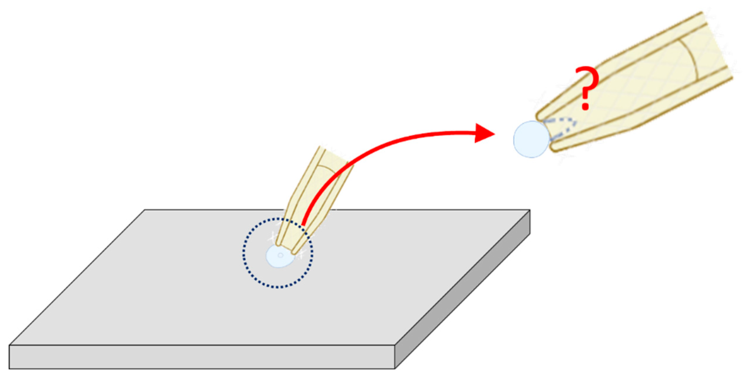 Preprints 191580 g007