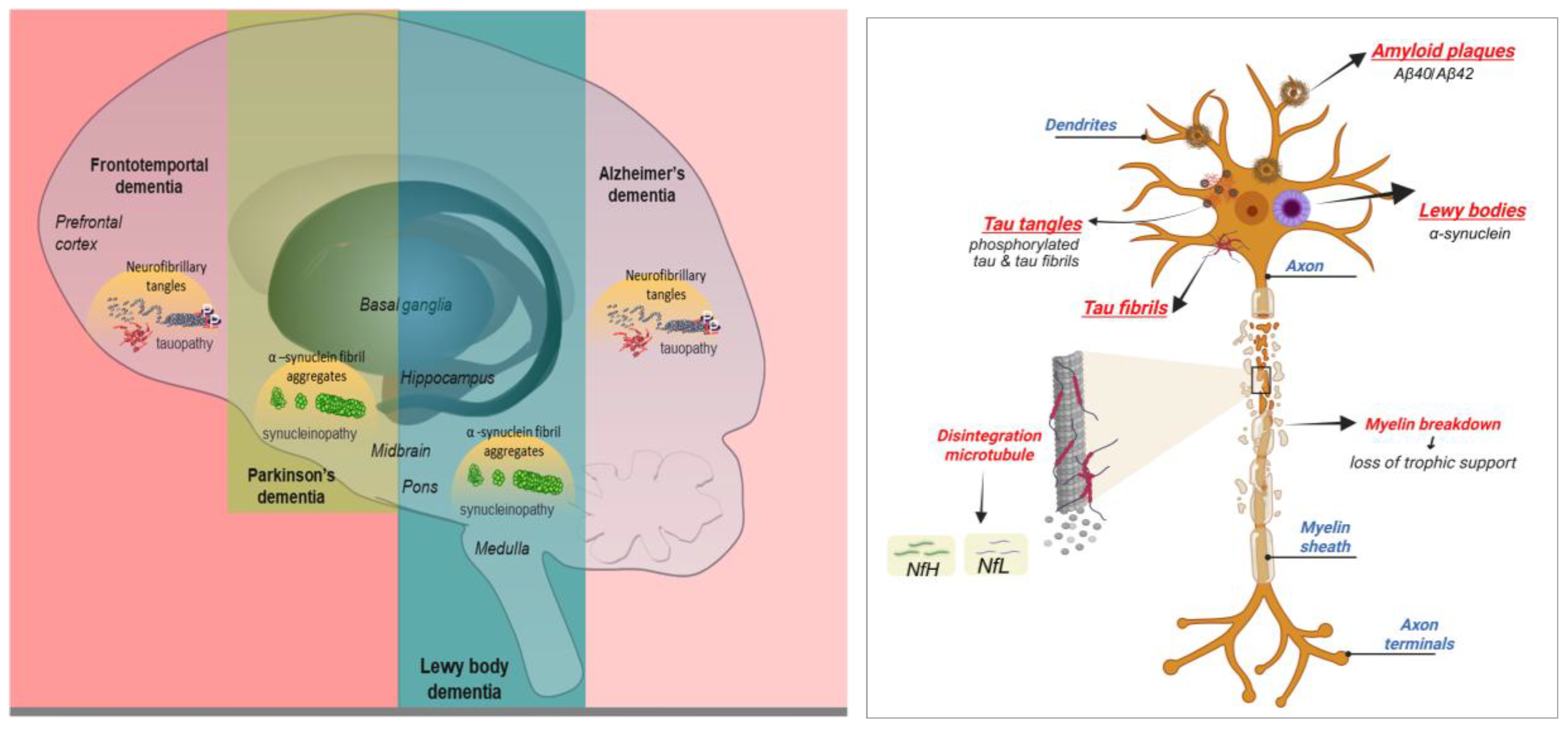 Preprints 180346 g001