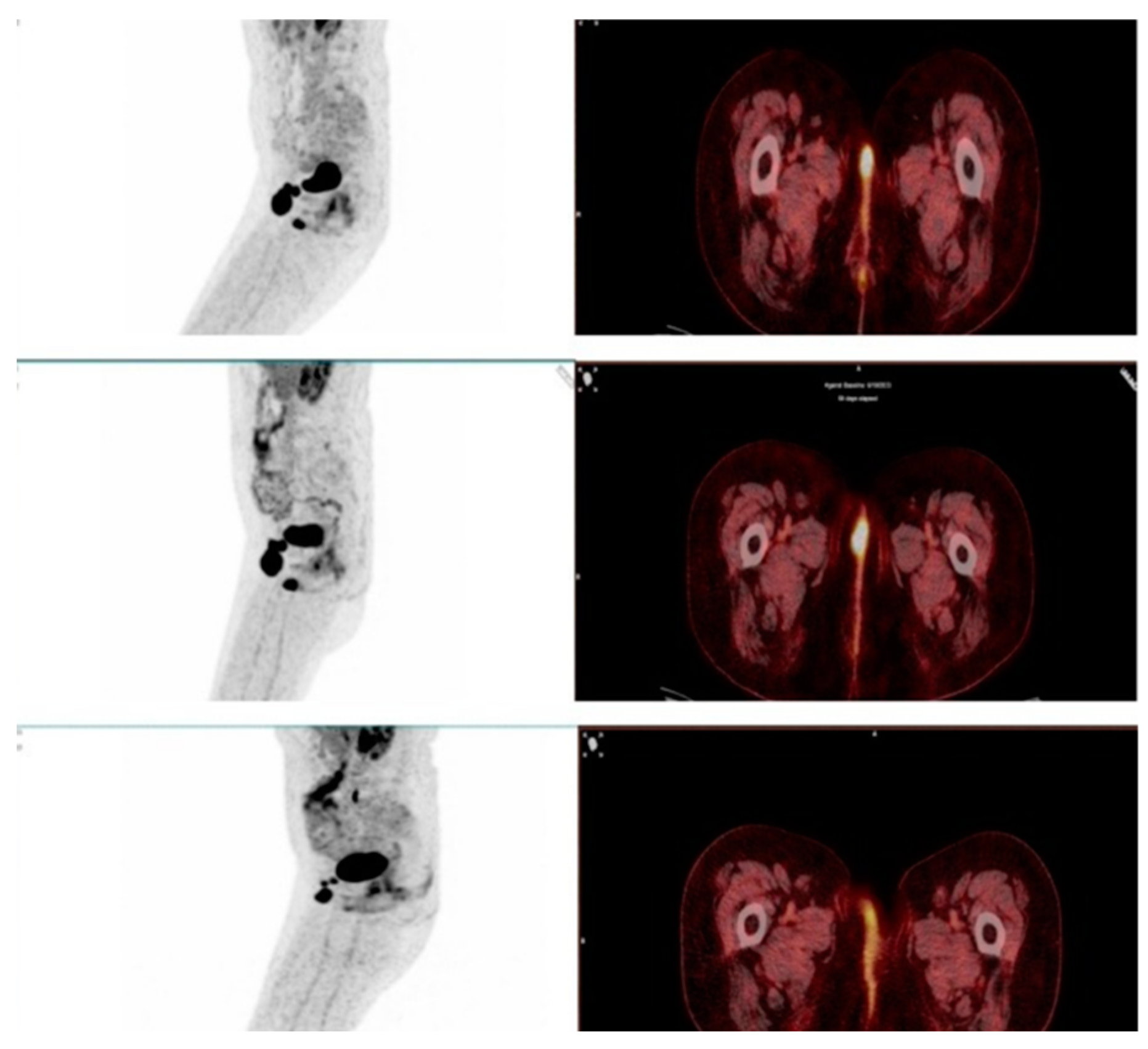 Preprints 155054 g004