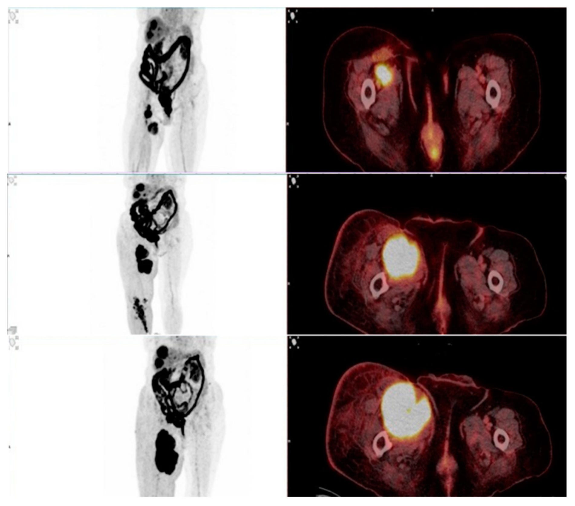 Preprints 155054 g005