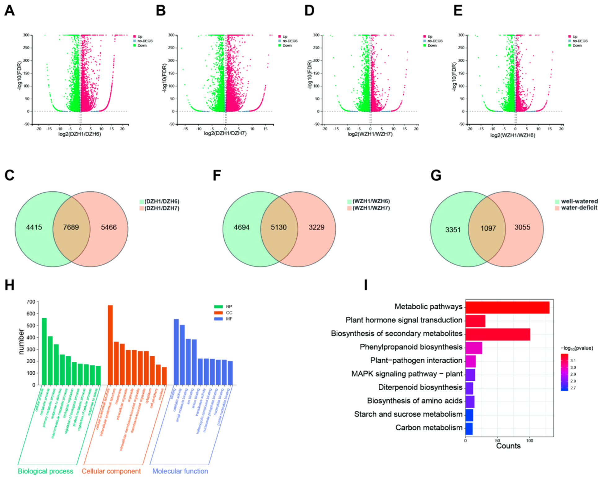 Preprints 224329 g005 Preprints 224329 g005