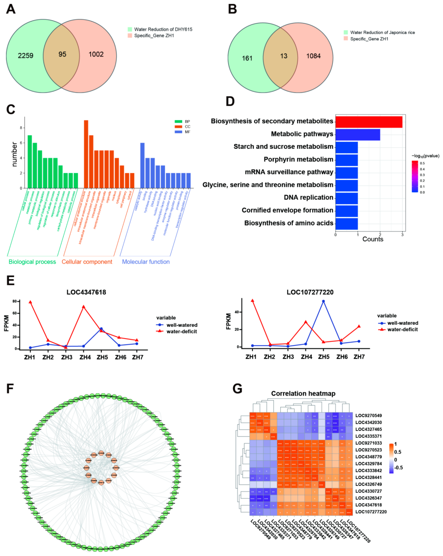 Preprints 224329 g006 Preprints 224329 g006