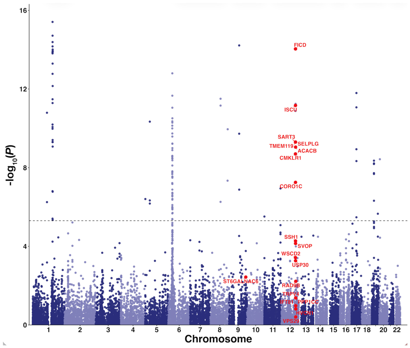 Preprints 218781 g002 Preprints 218781 g002