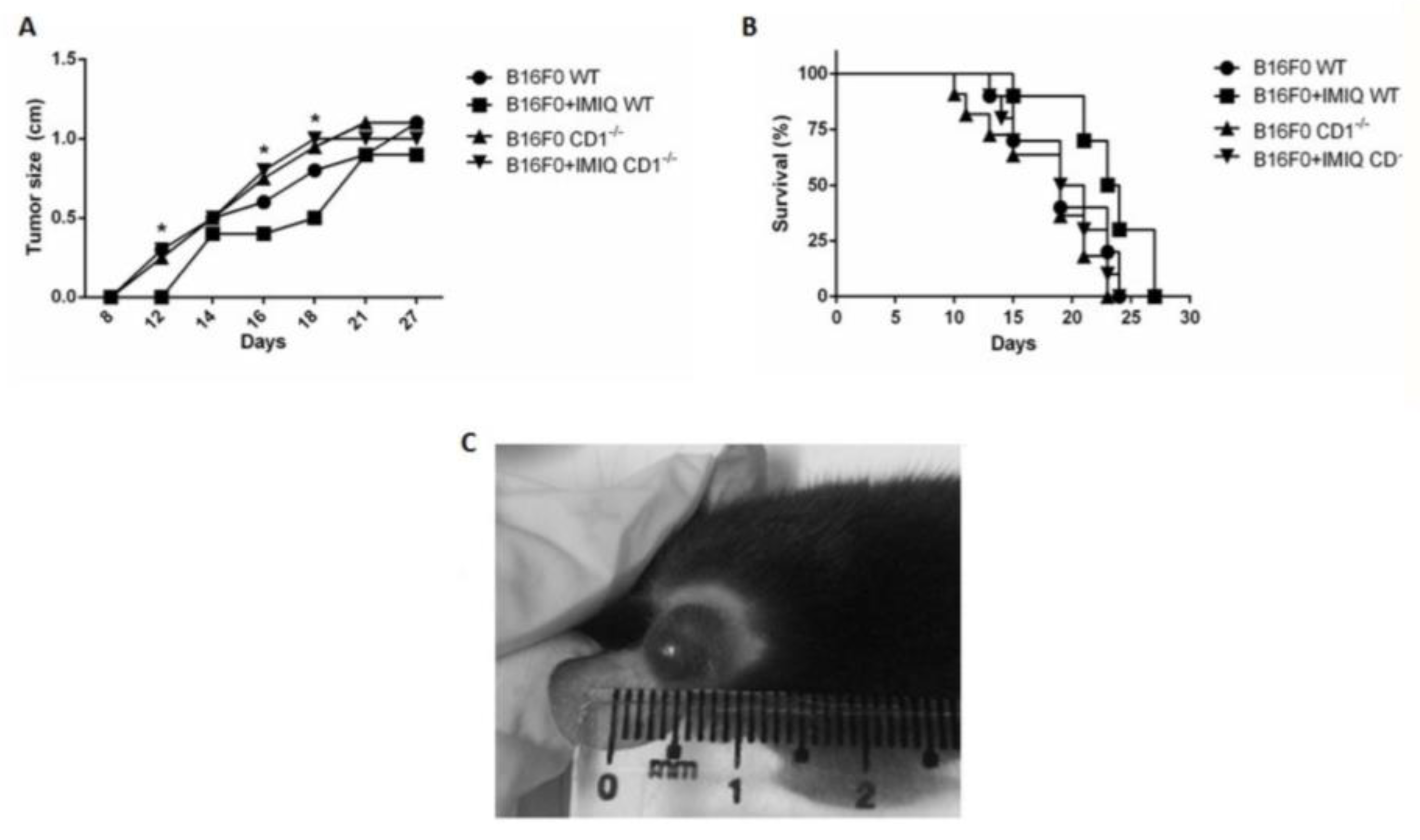 Preprints 141786 g001