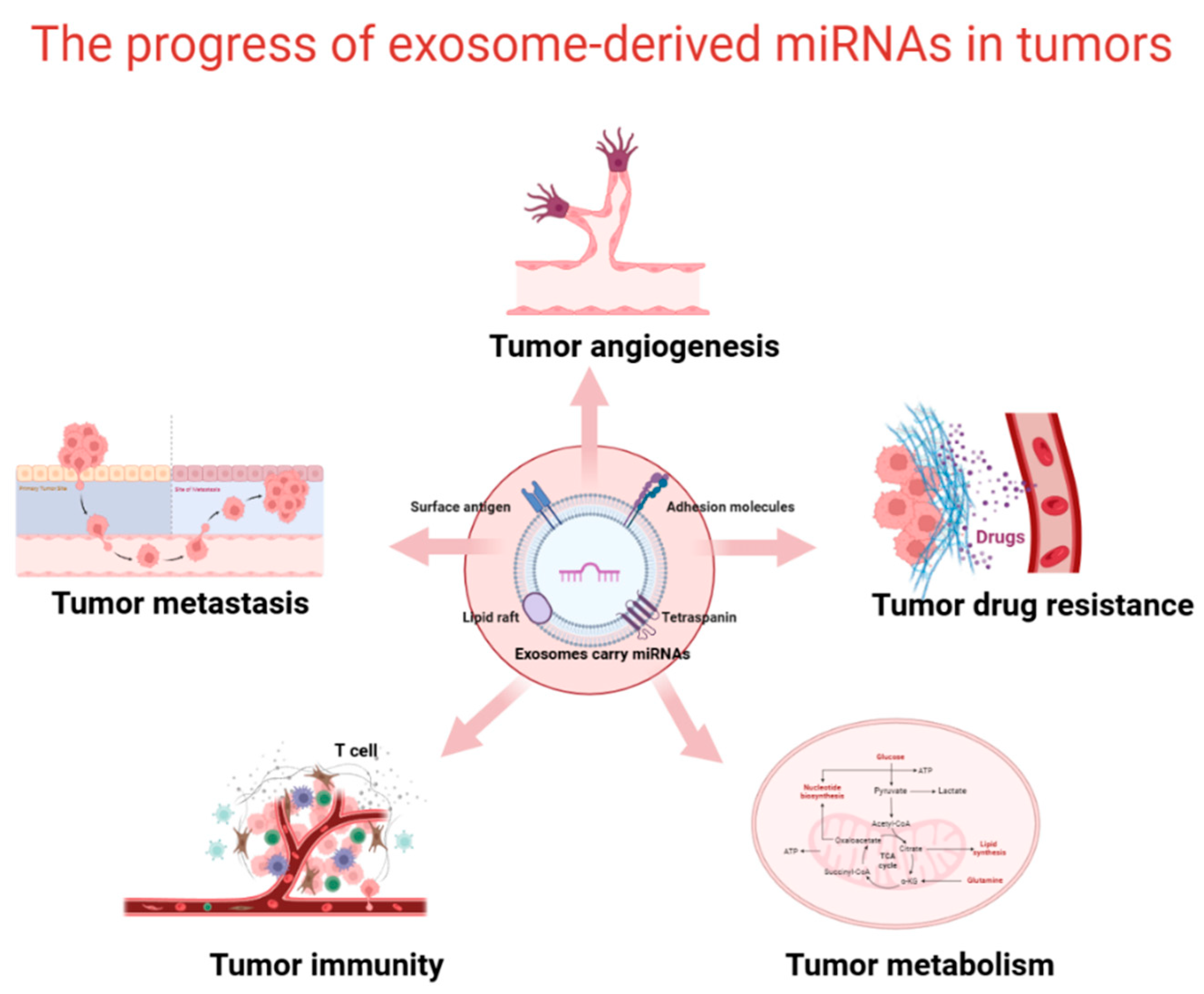 Preprints 172028 g002