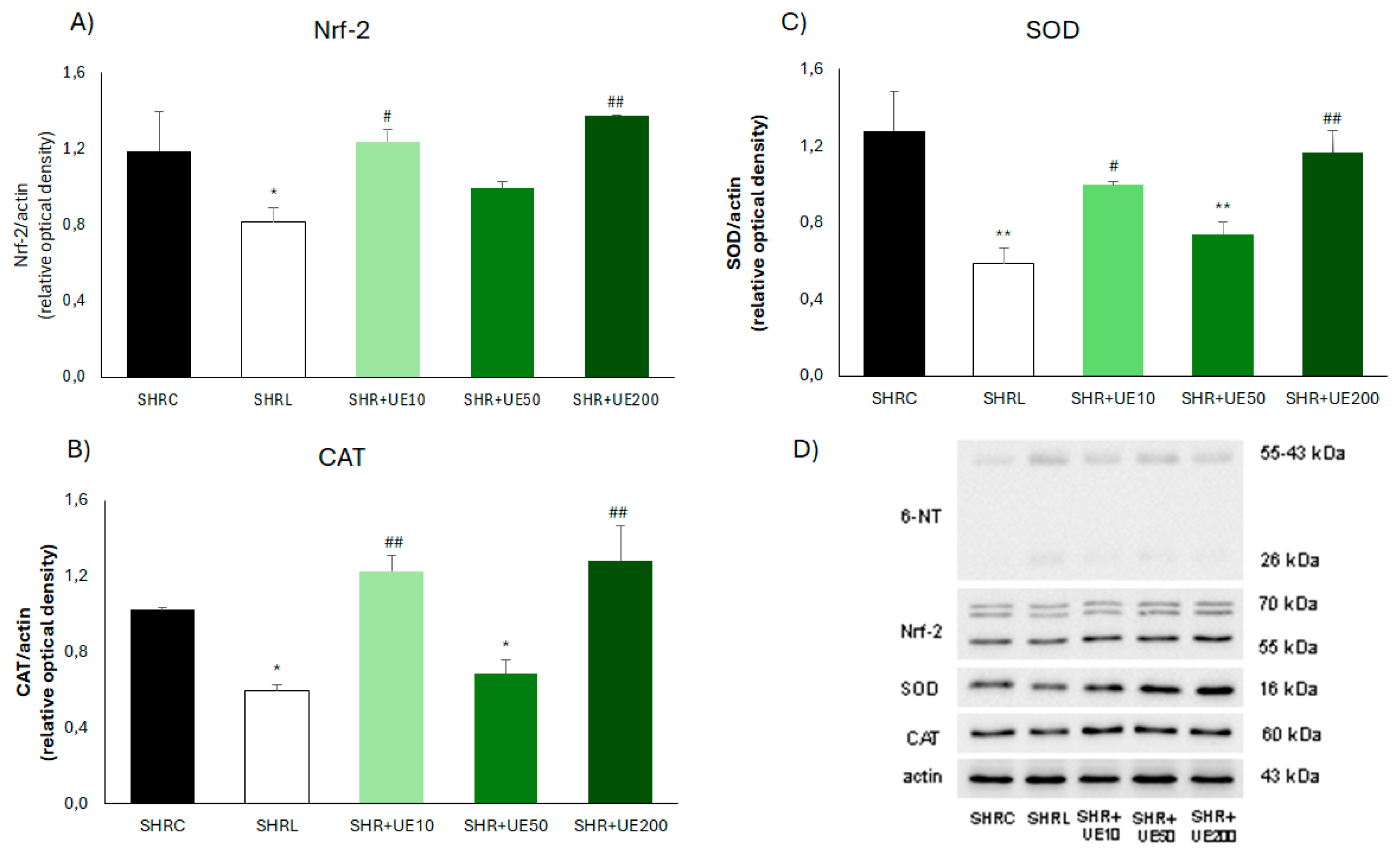 Preprints 141316 g003