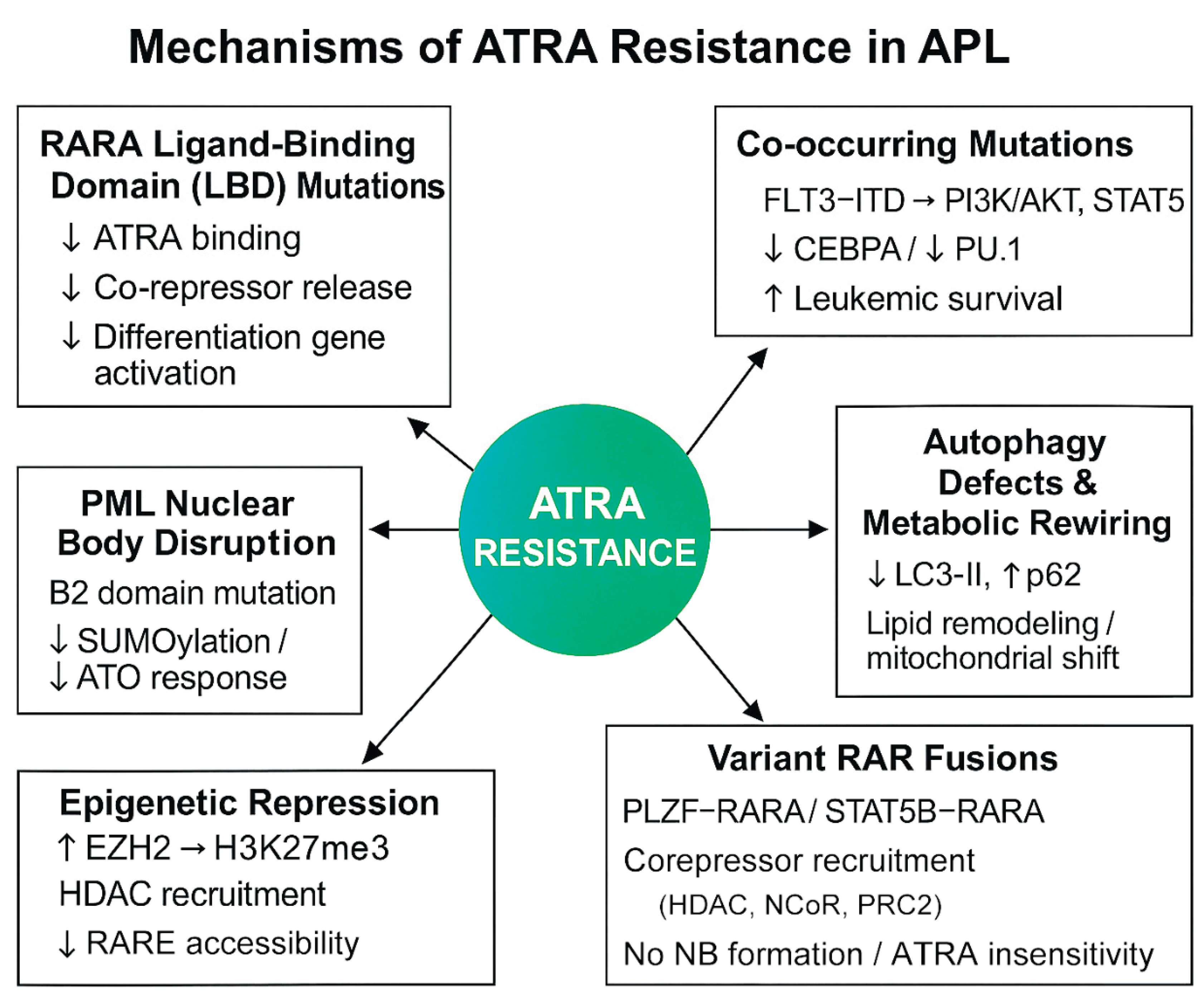 Preprints 165689 g001