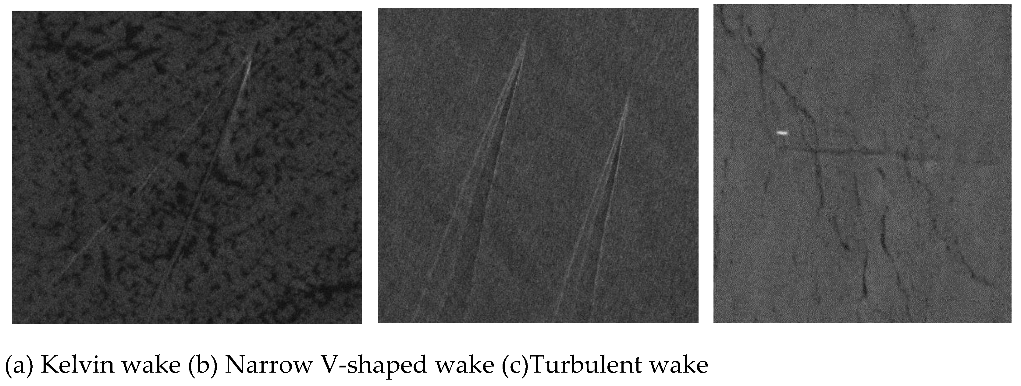 Preprints 150863 g001