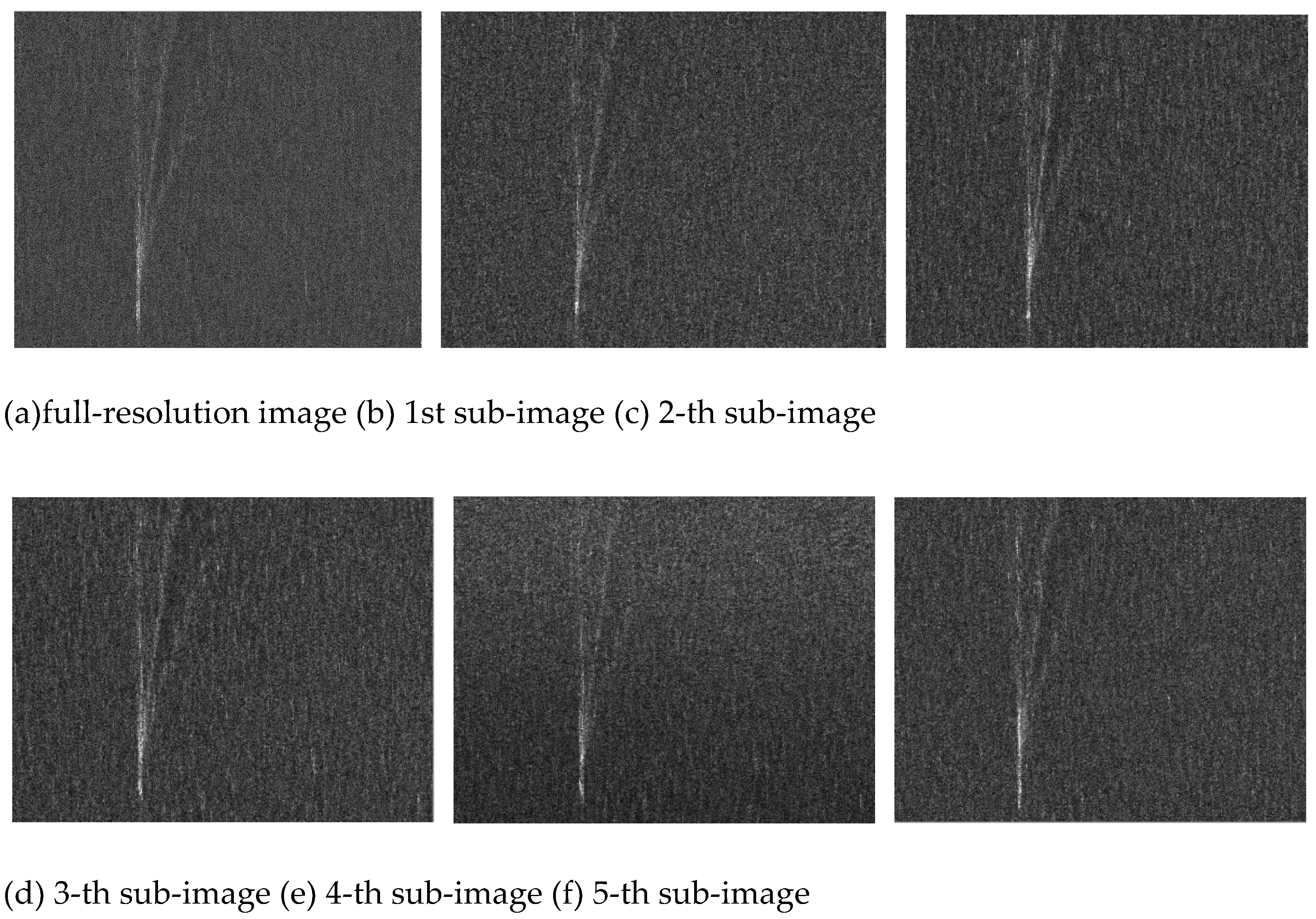 Preprints 150863 g004