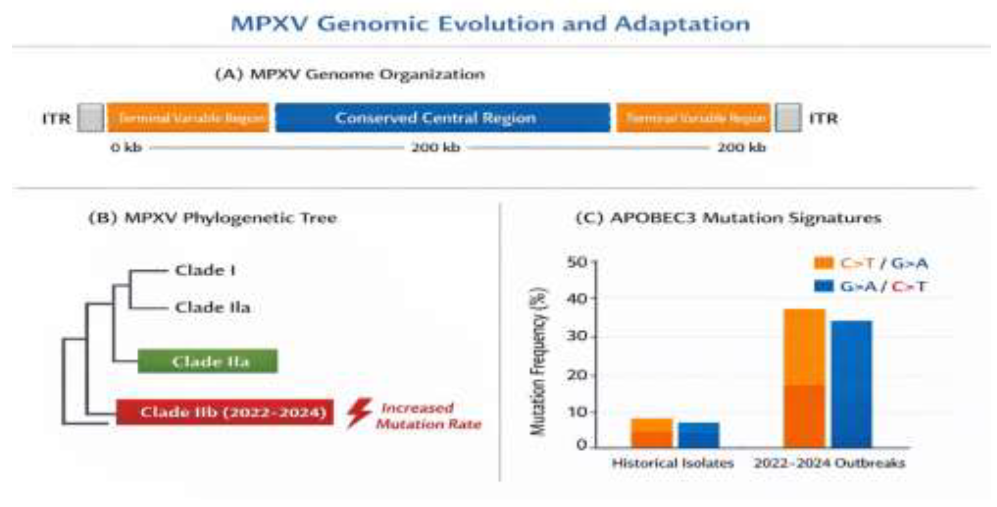 Preprints 194866 g002