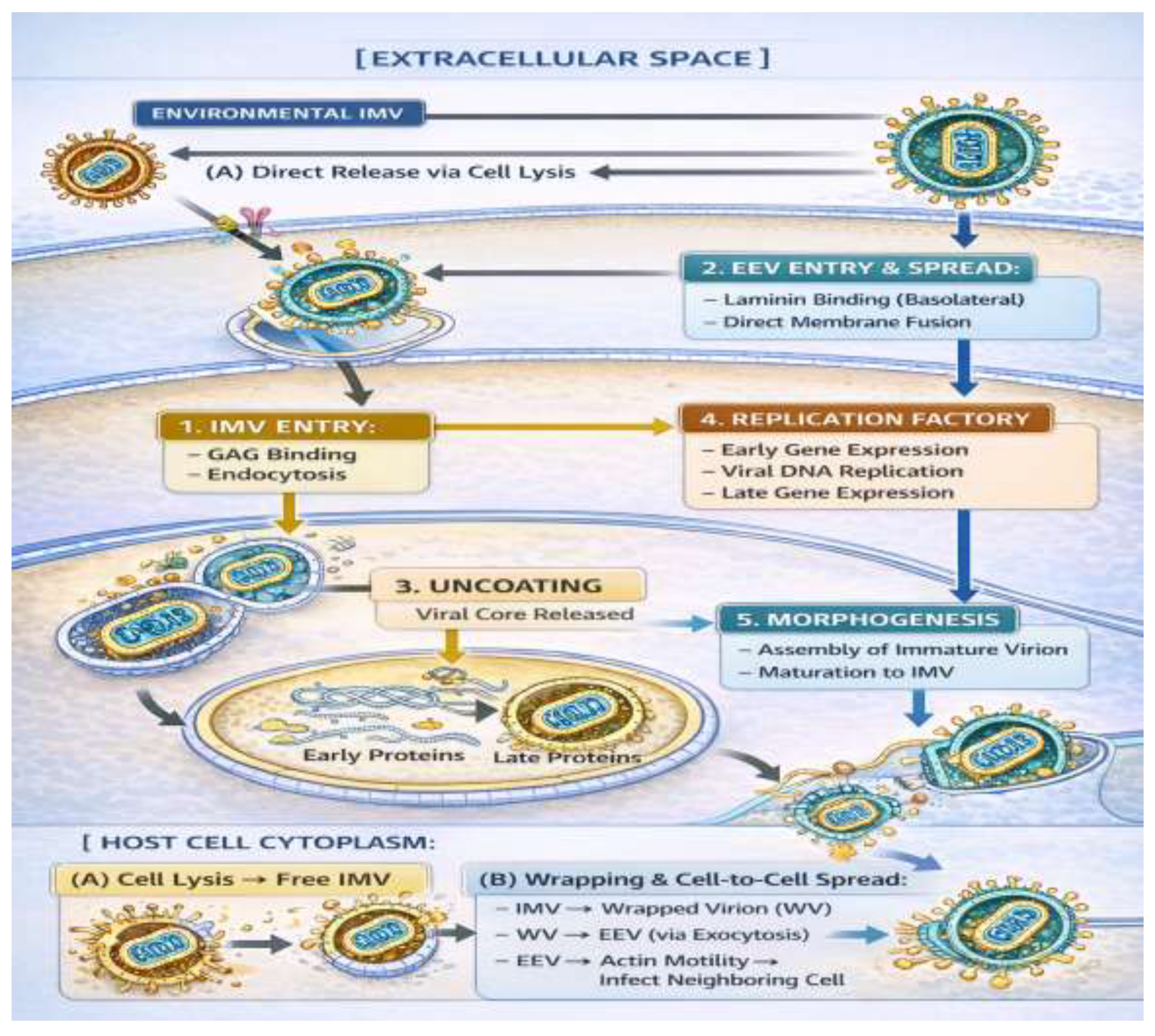Preprints 194866 g003