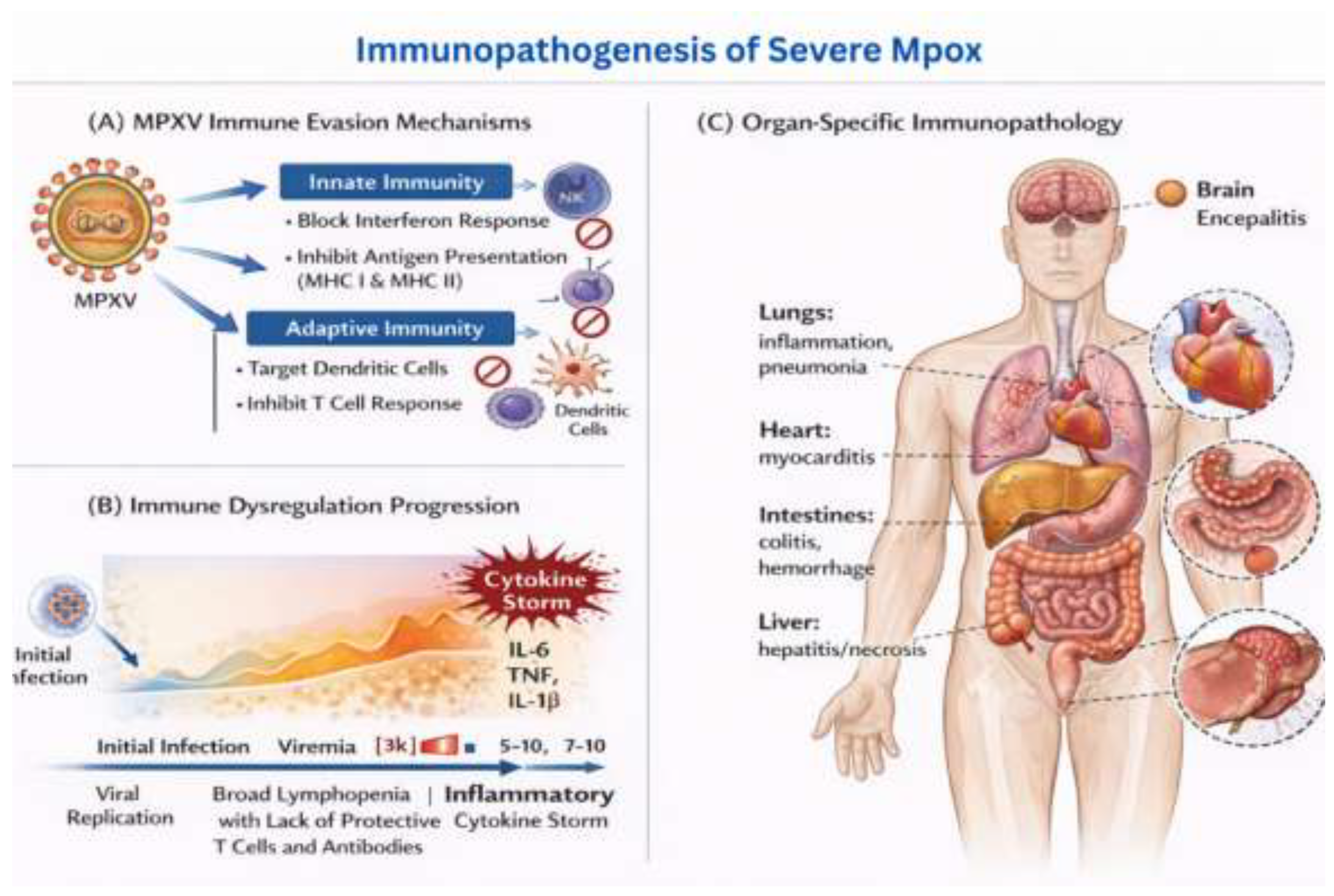 Preprints 194866 g004