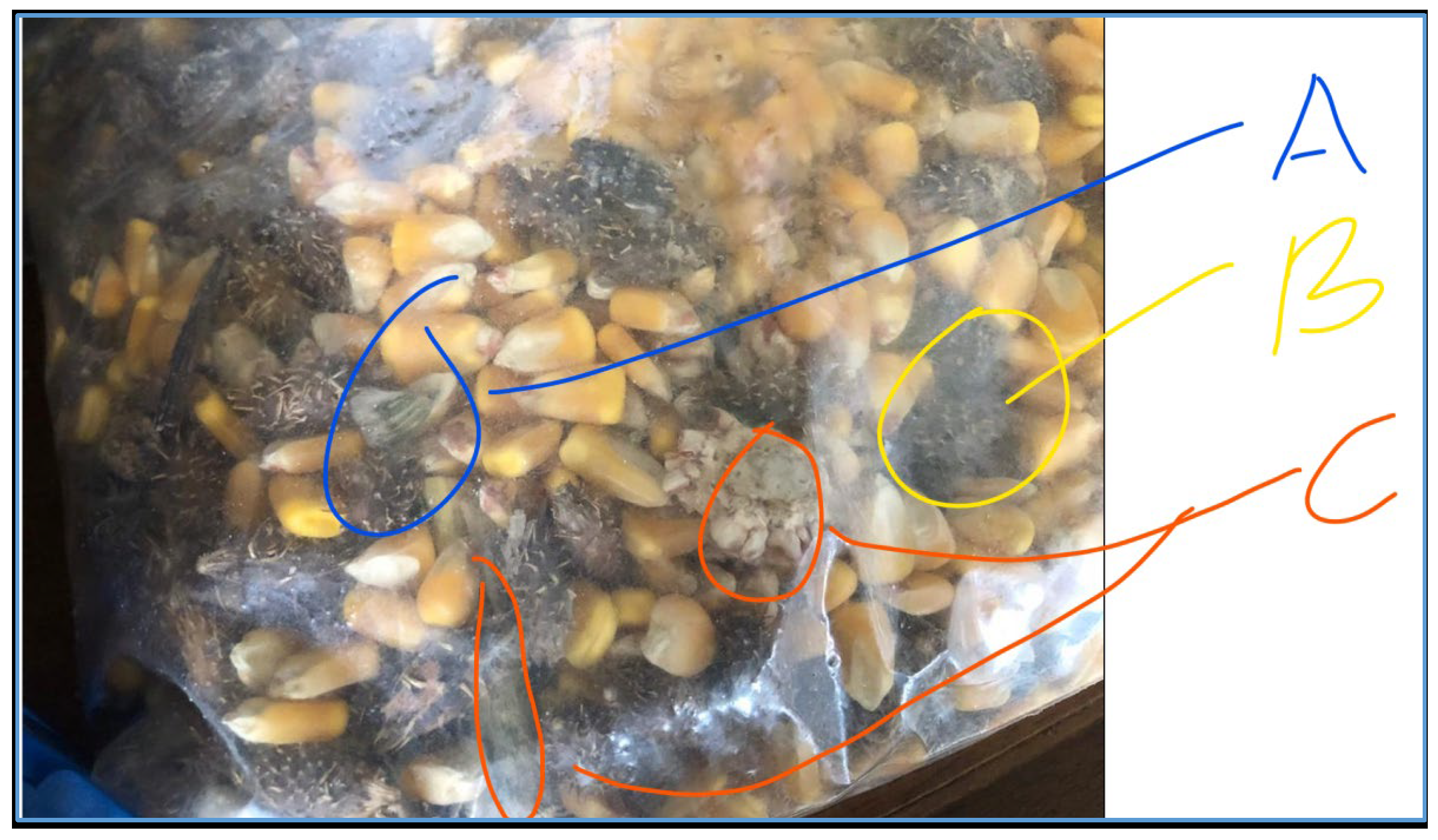 Preprints 171633 g001