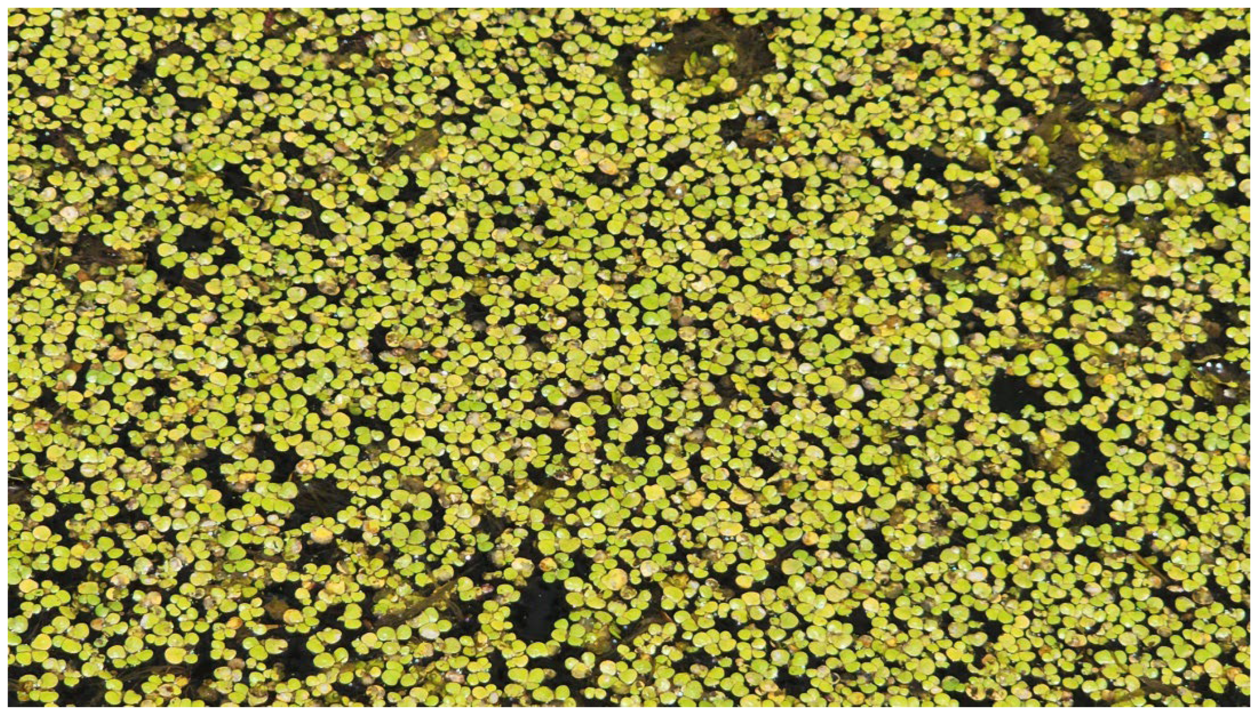 Preprints 171633 g002