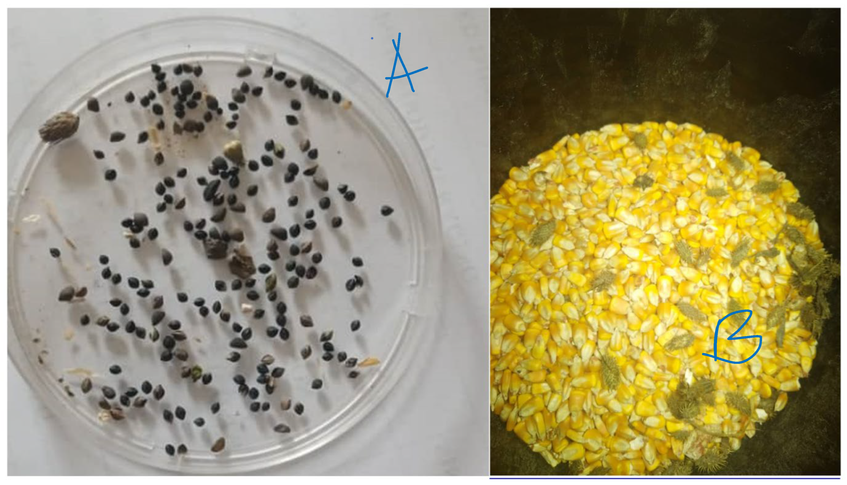 Preprints 171633 g003