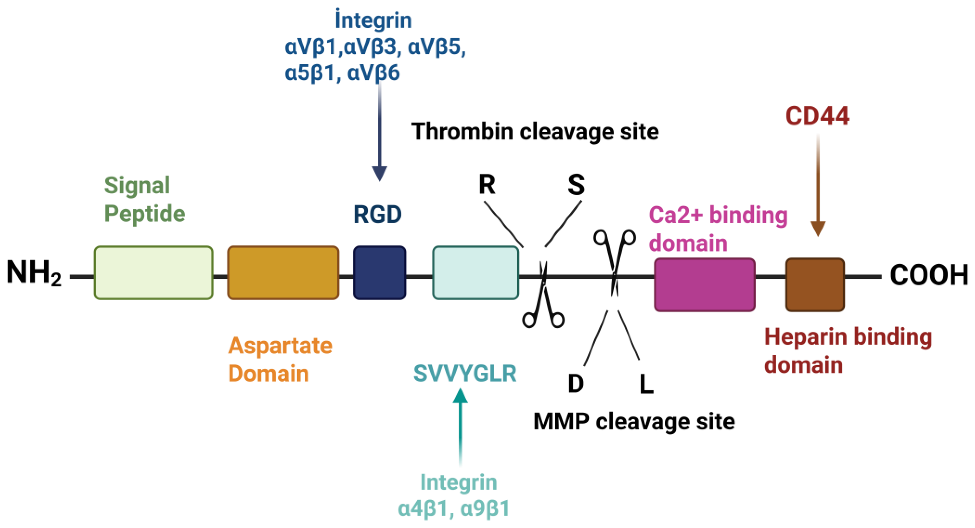 Preprints 158062 g001
