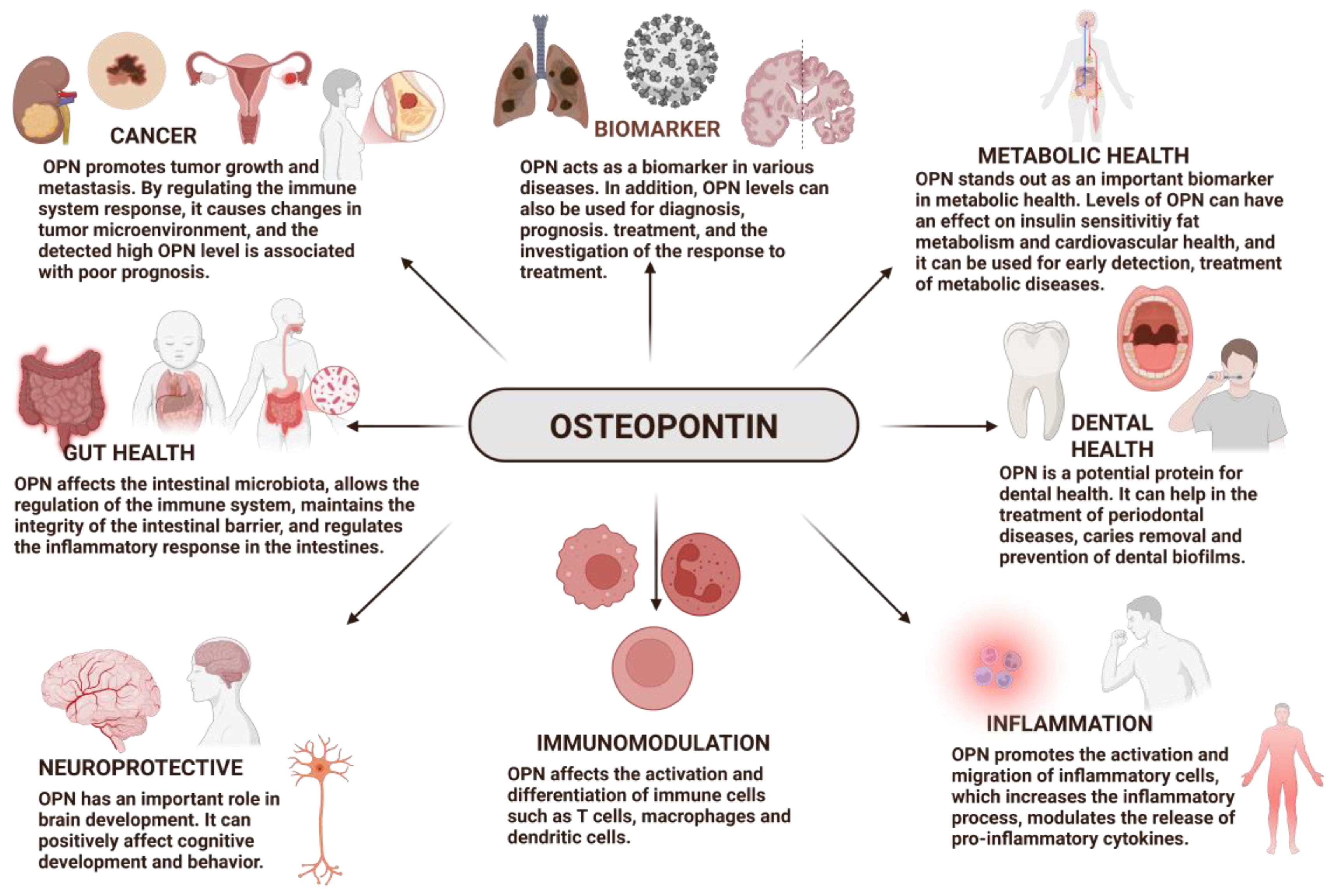 Preprints 158062 g002