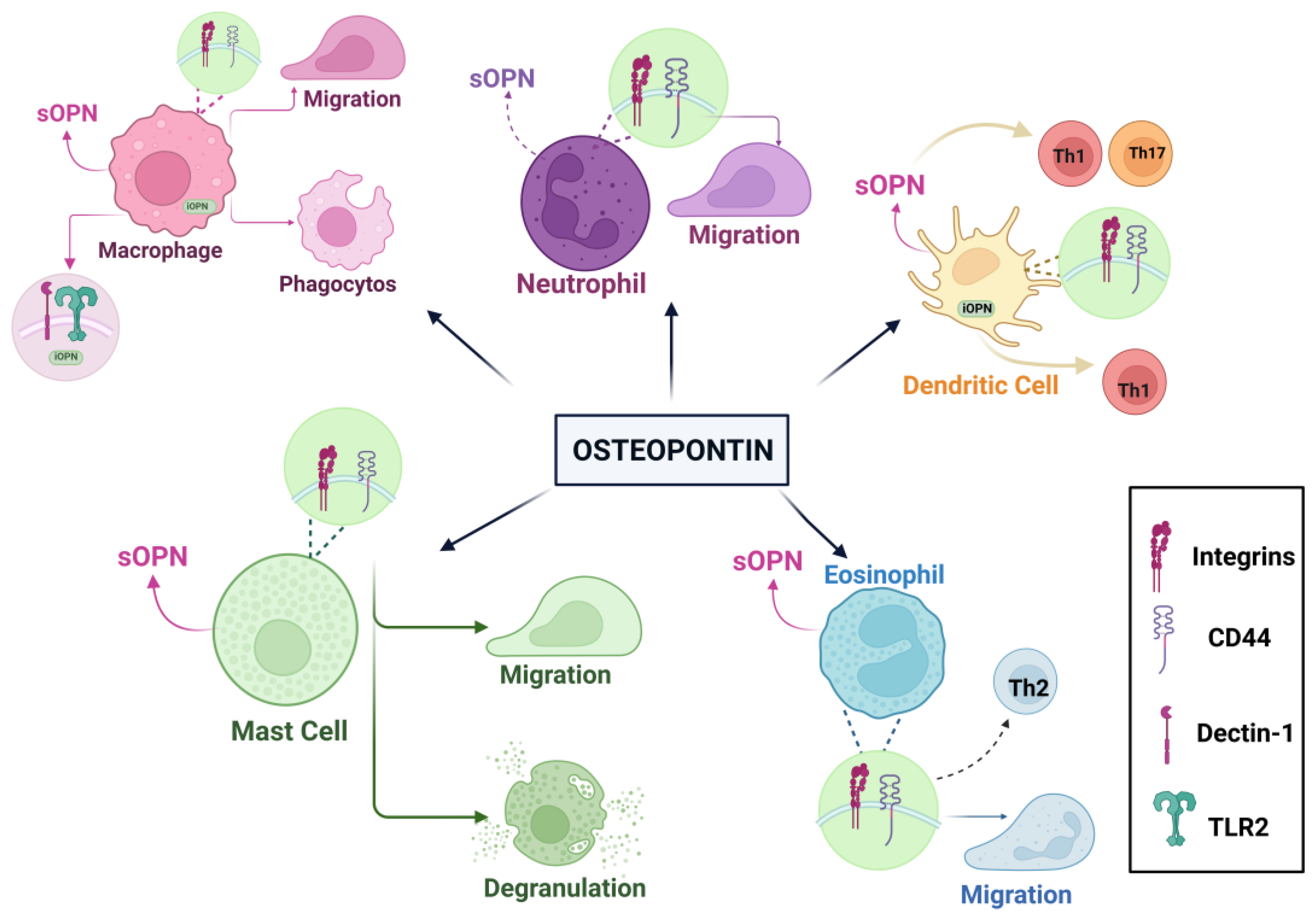 Preprints 158062 g003