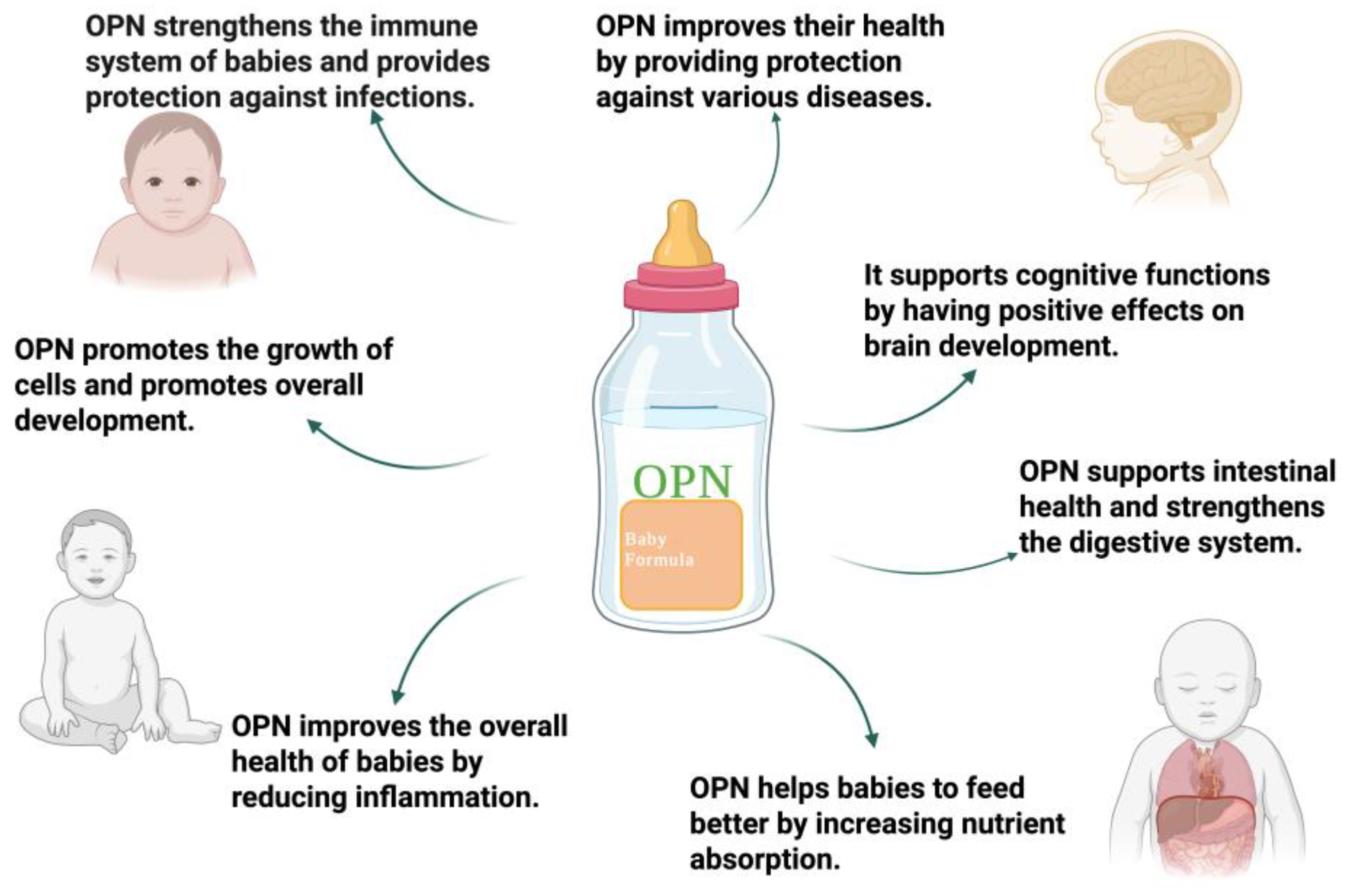 Preprints 158062 g004