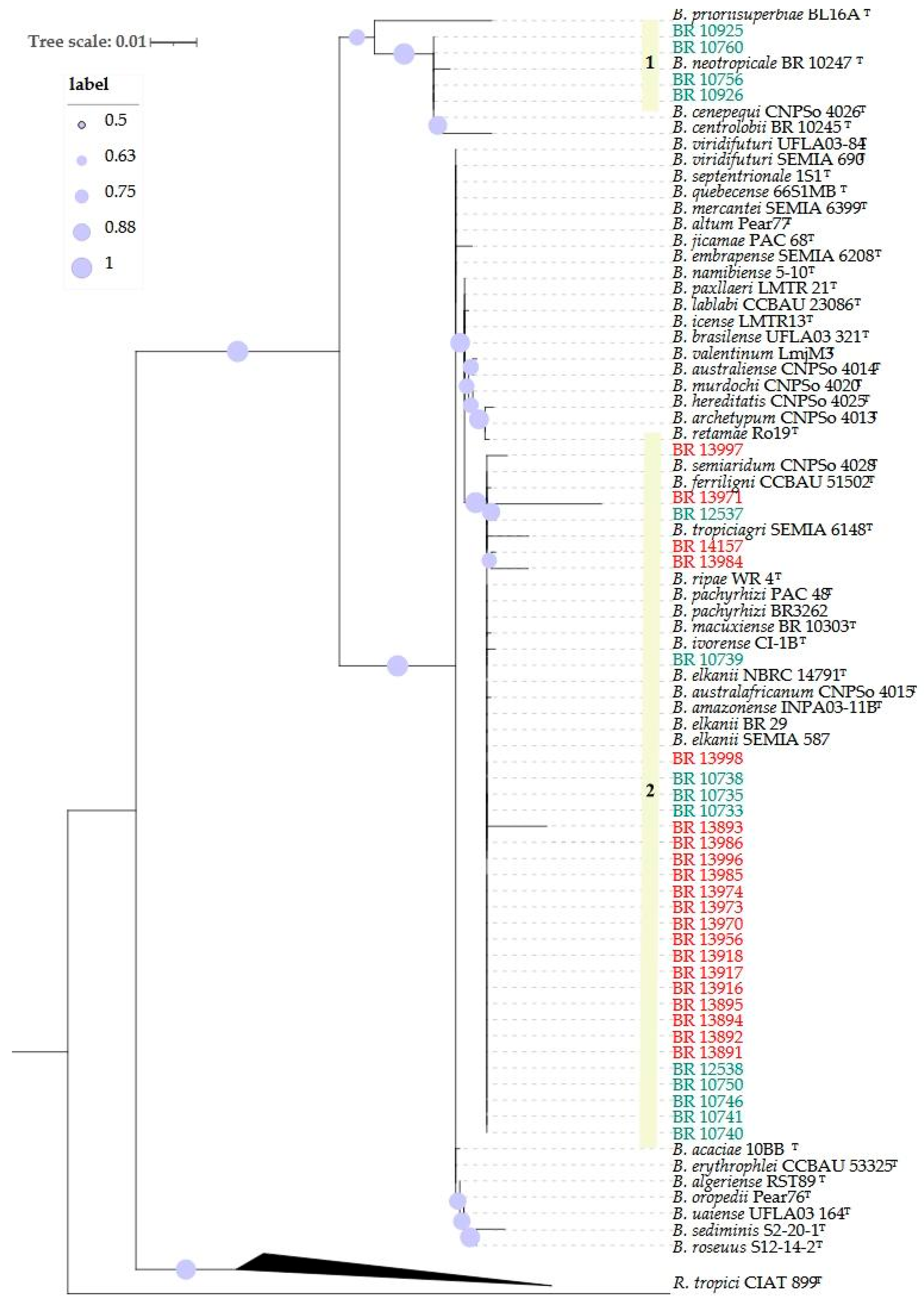 Preprints 182489 g001