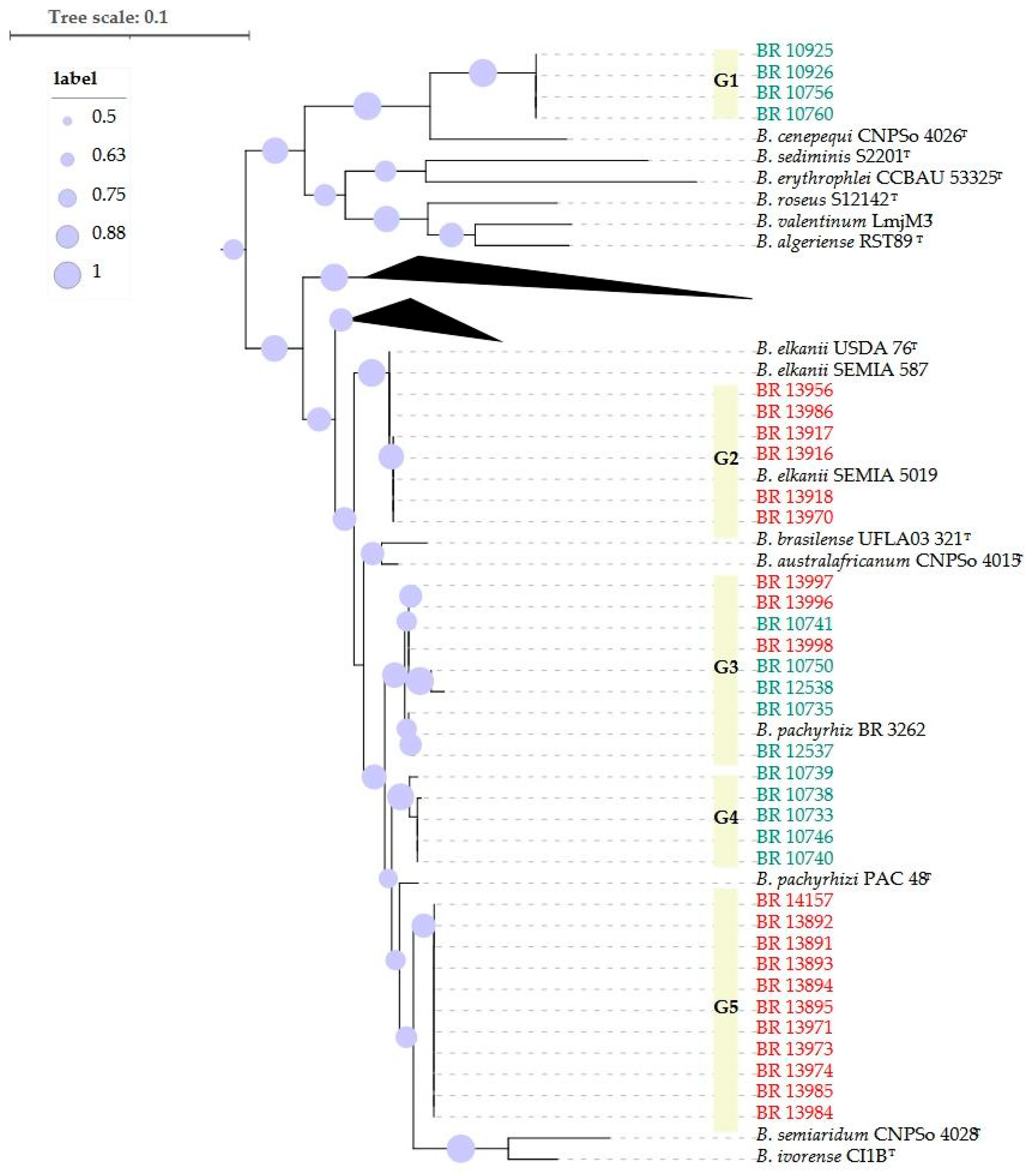 Preprints 182489 g002