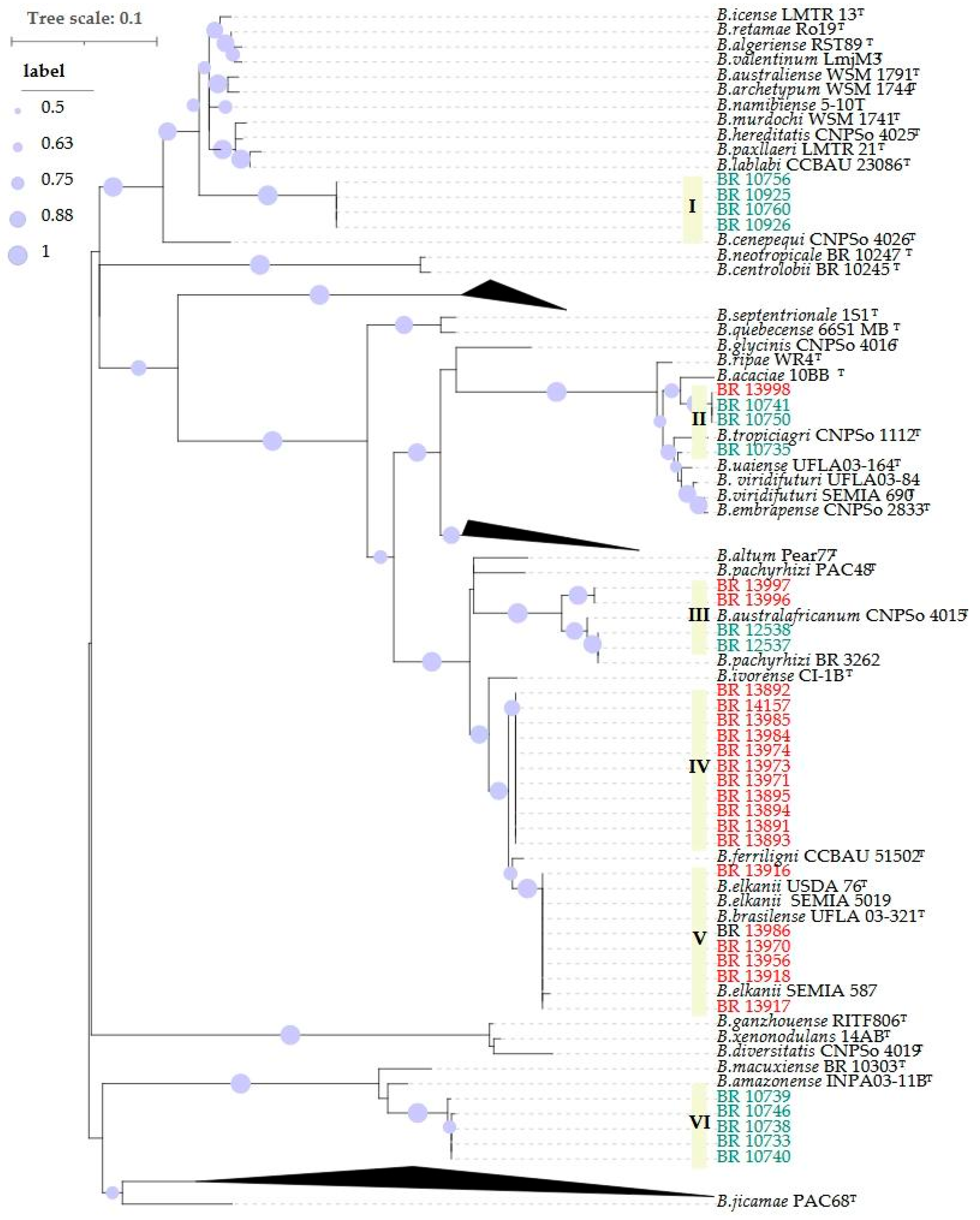 Preprints 182489 g003
