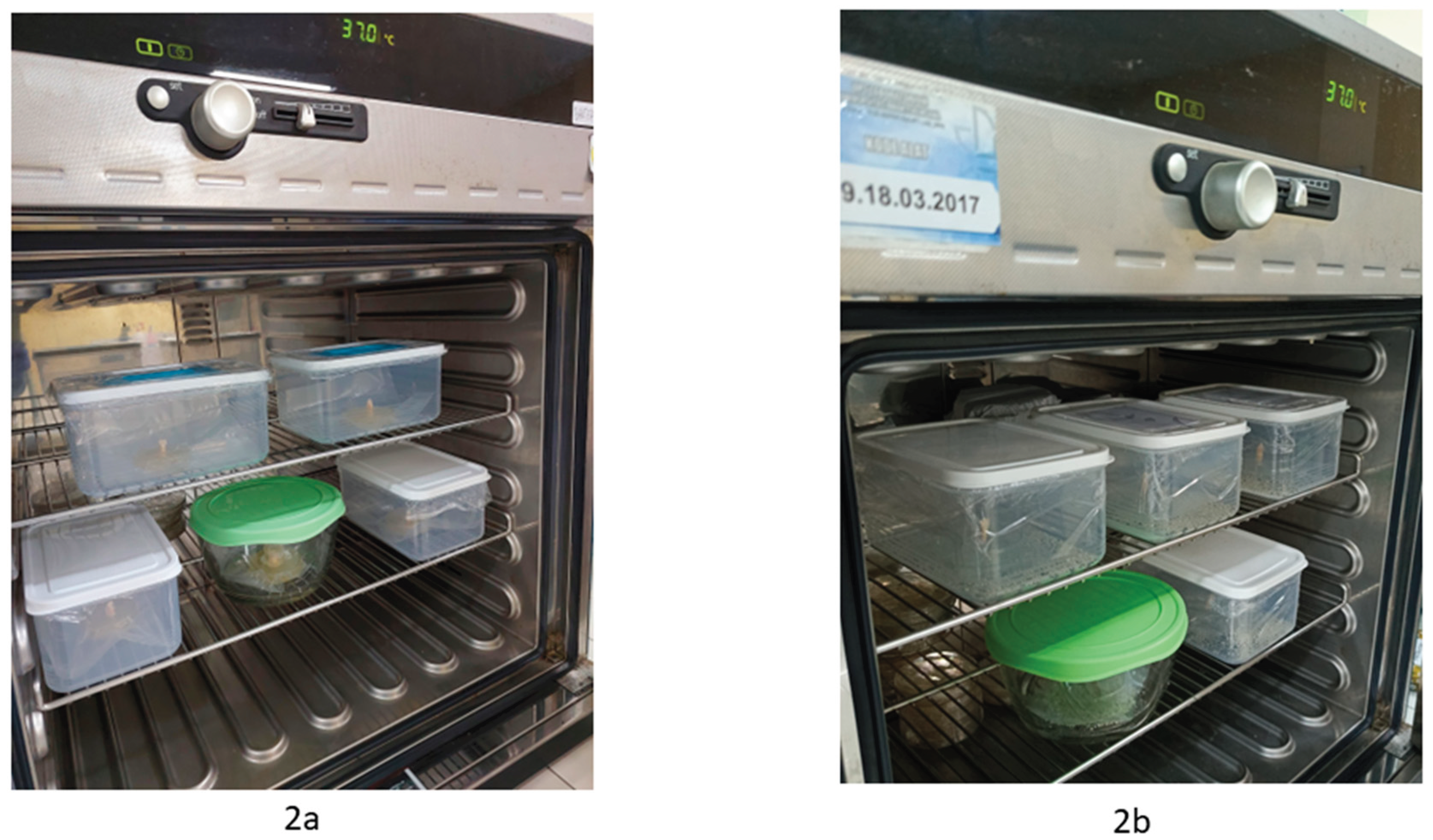 Preprints 220753 g002 Preprints 220753 g002