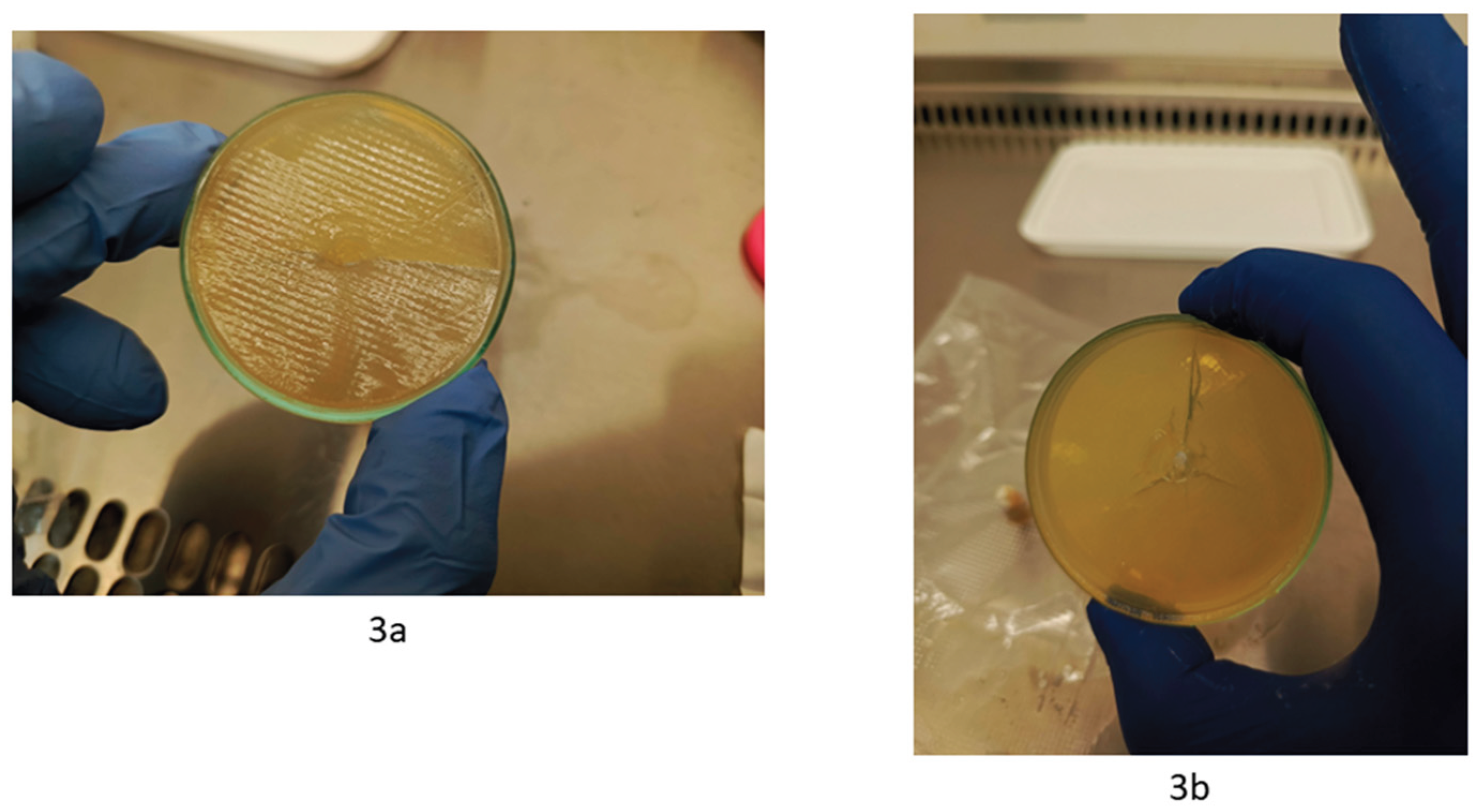 Preprints 220753 g003 Preprints 220753 g003