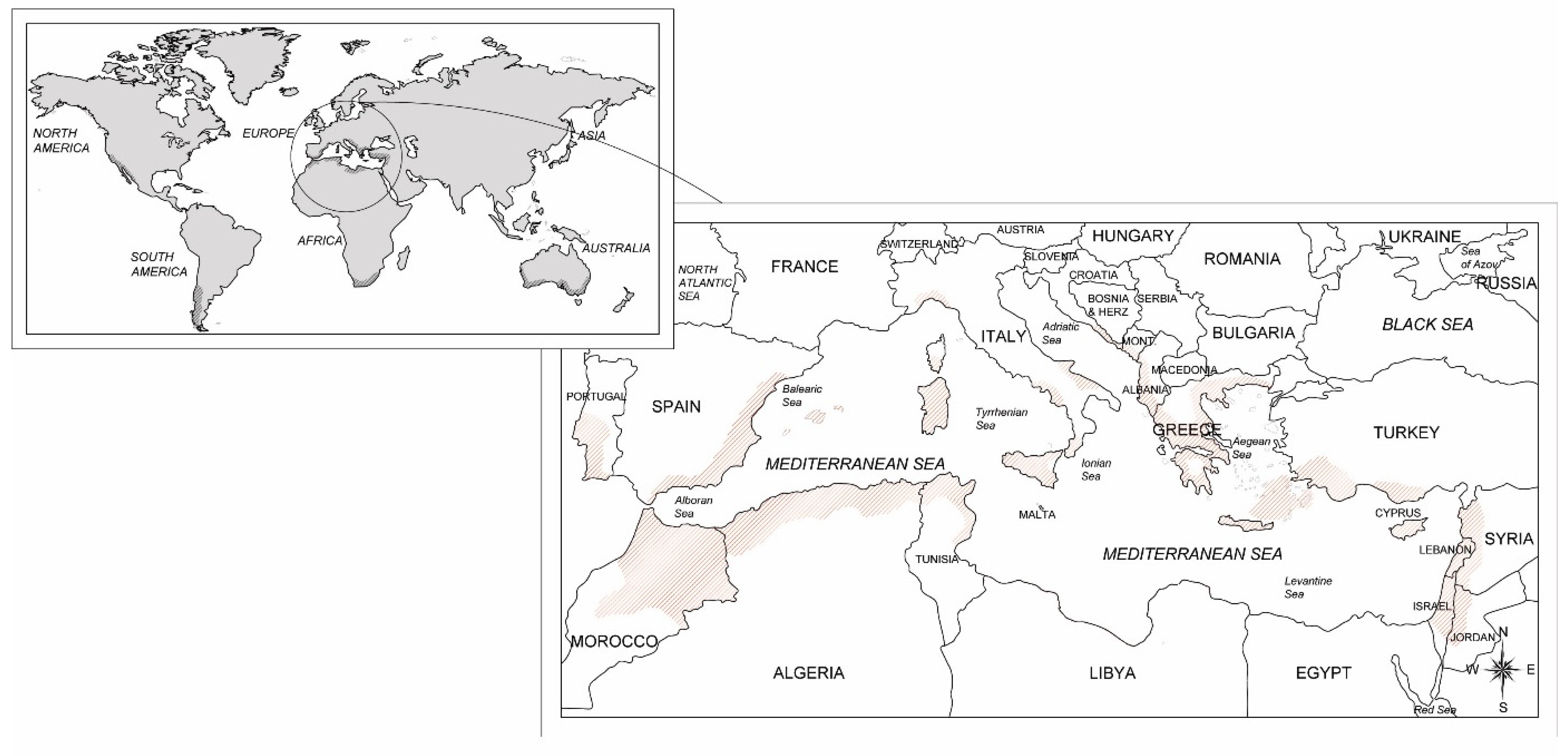 Preprints 86677 g001