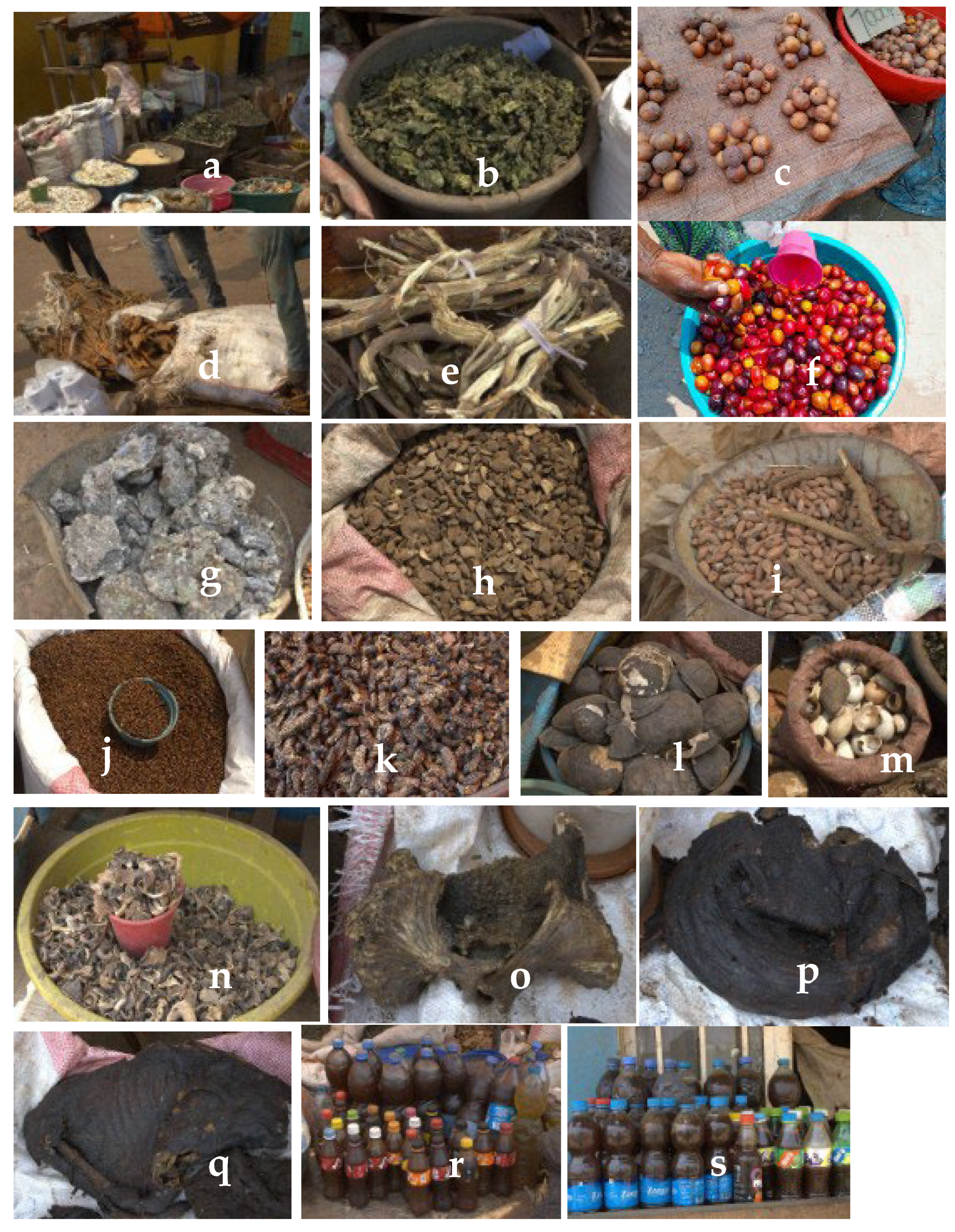 Preprints 199715 g004