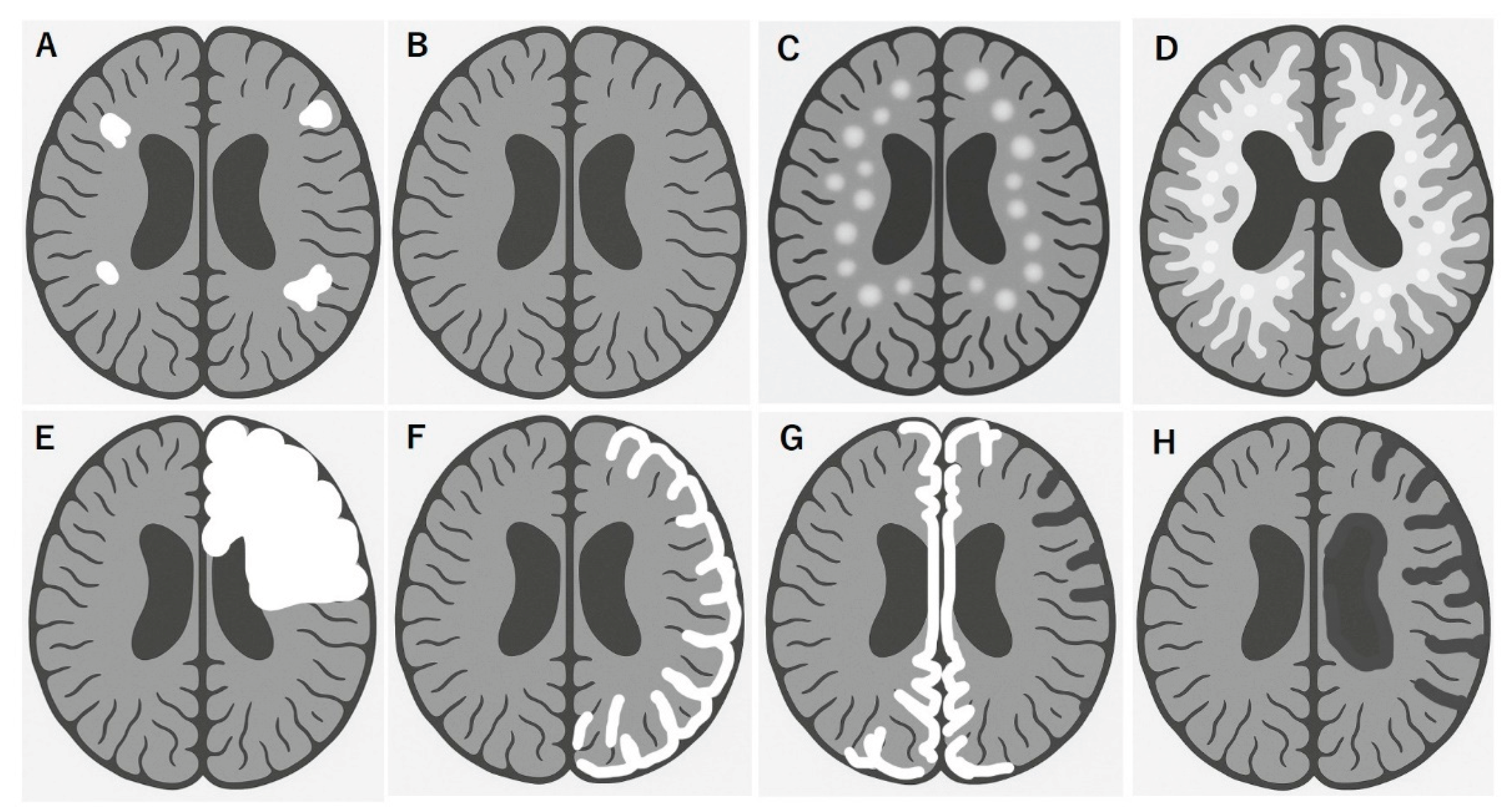 Preprints 170976 g001