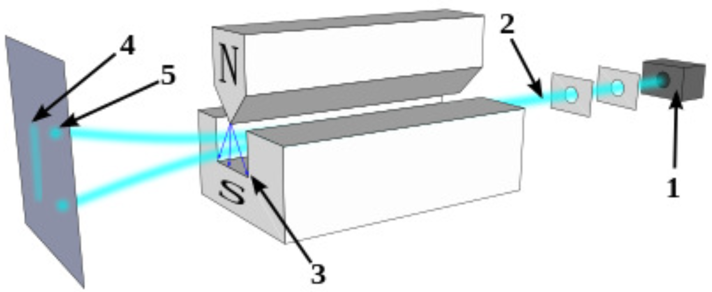 Preprints 66409 g001