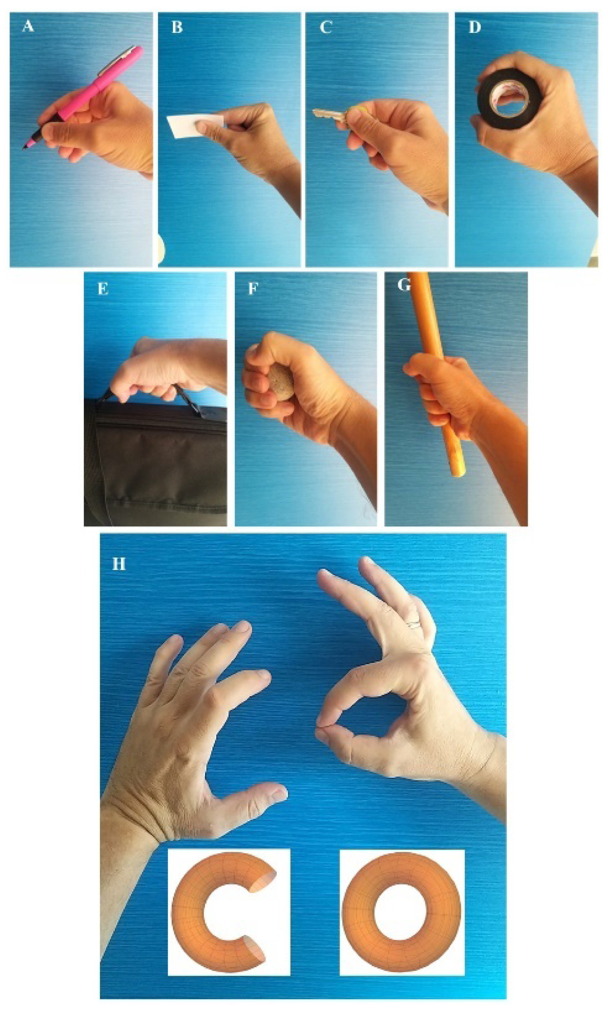 Preprints 120950 g001